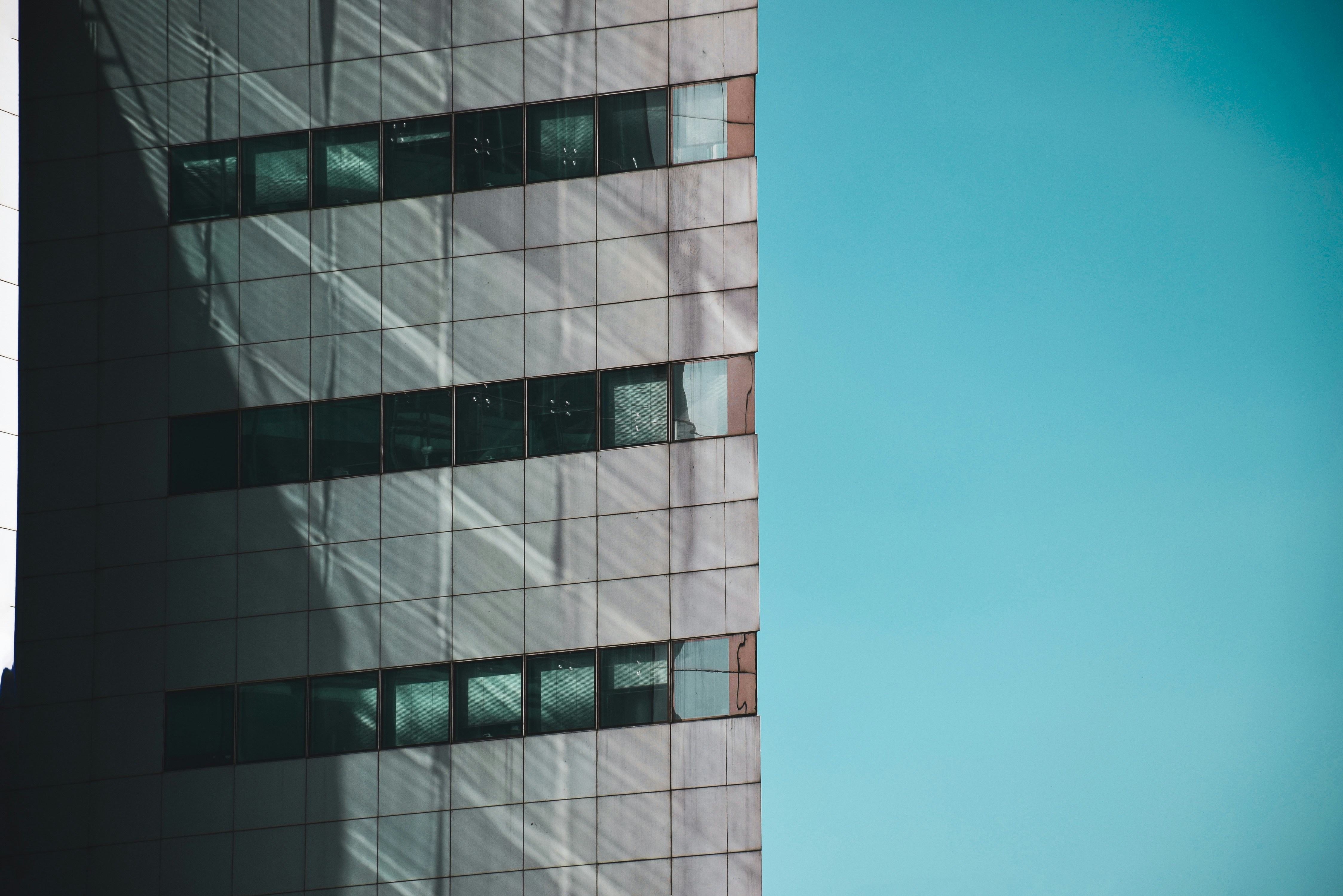 Photo by mahtaparsafar