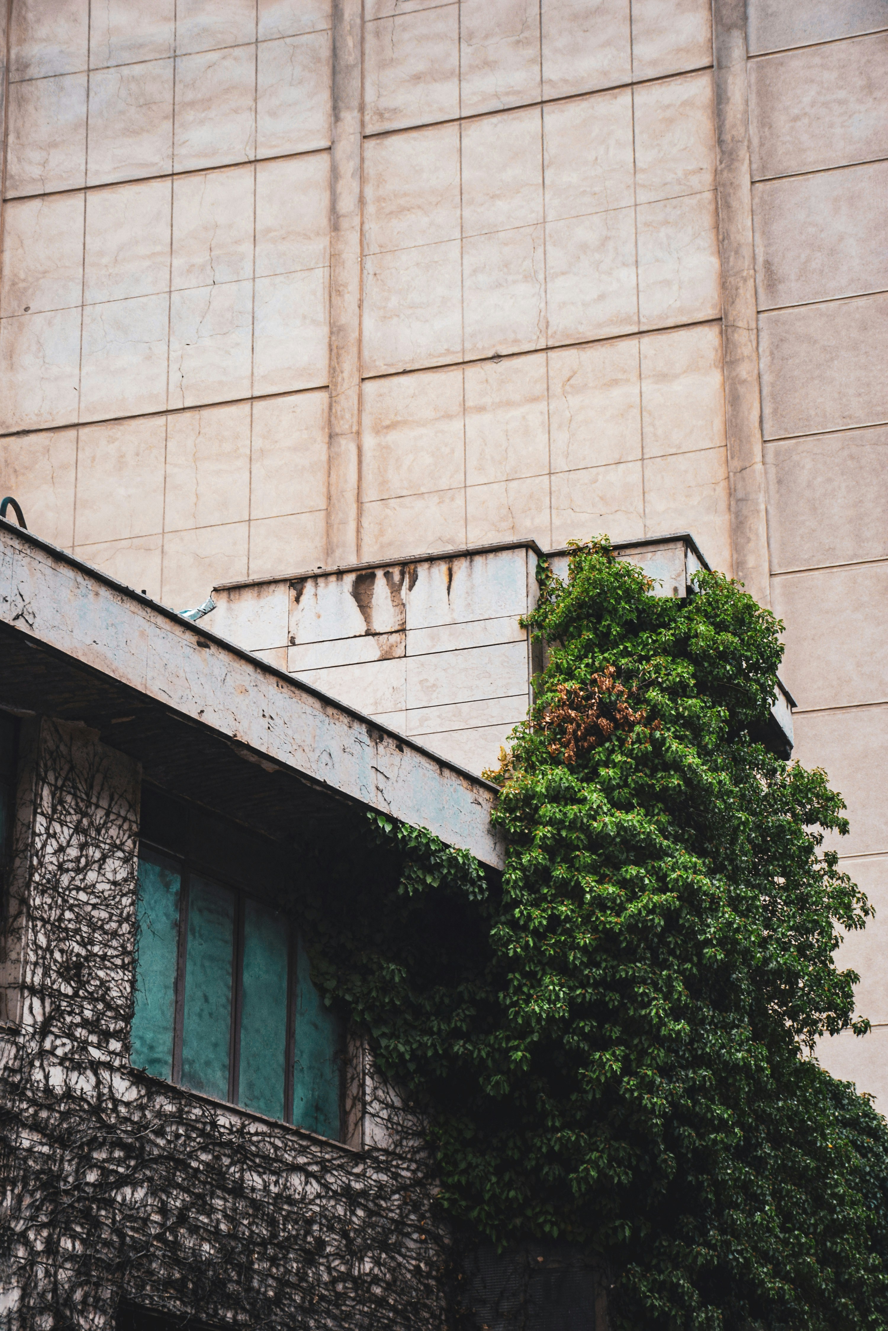 Photo by mahtaparsafar