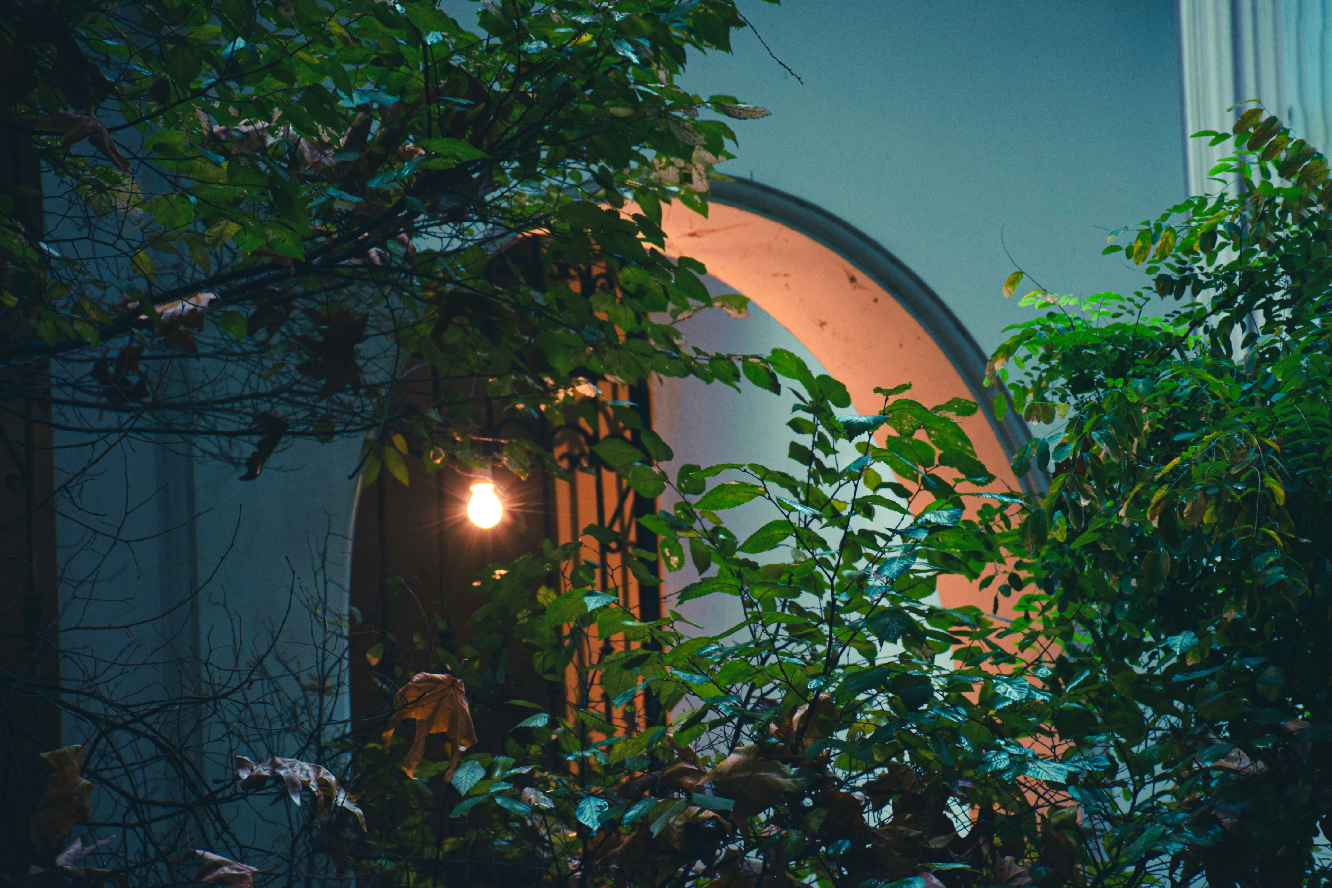 Photo by mahtaparsafar