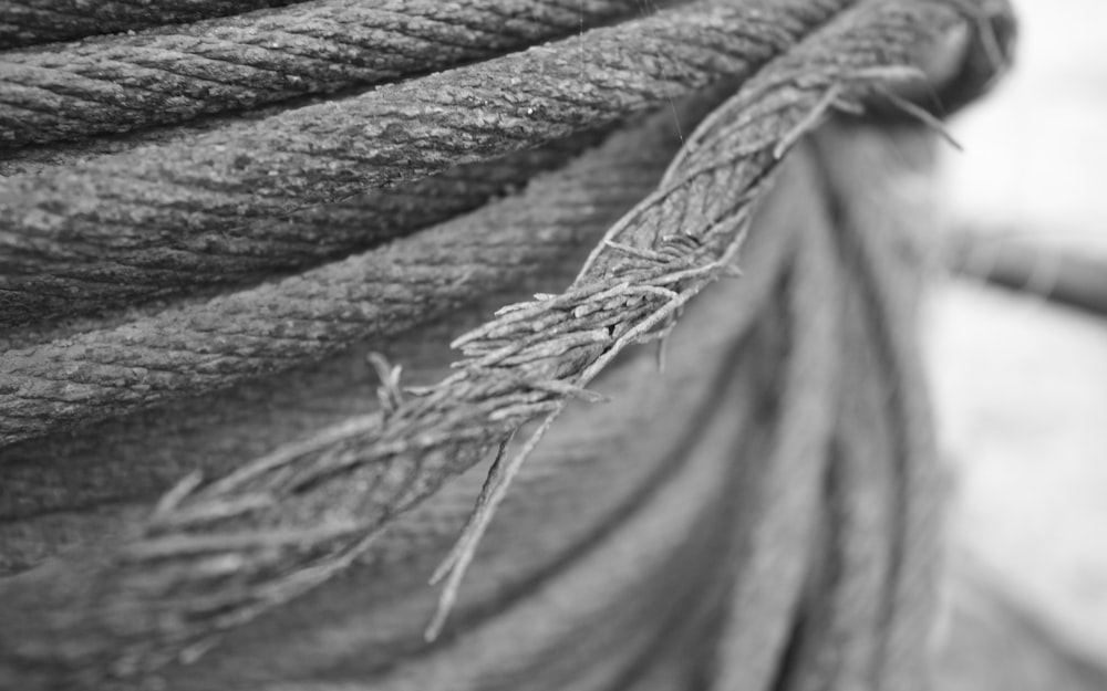 a black and white photo of a rope