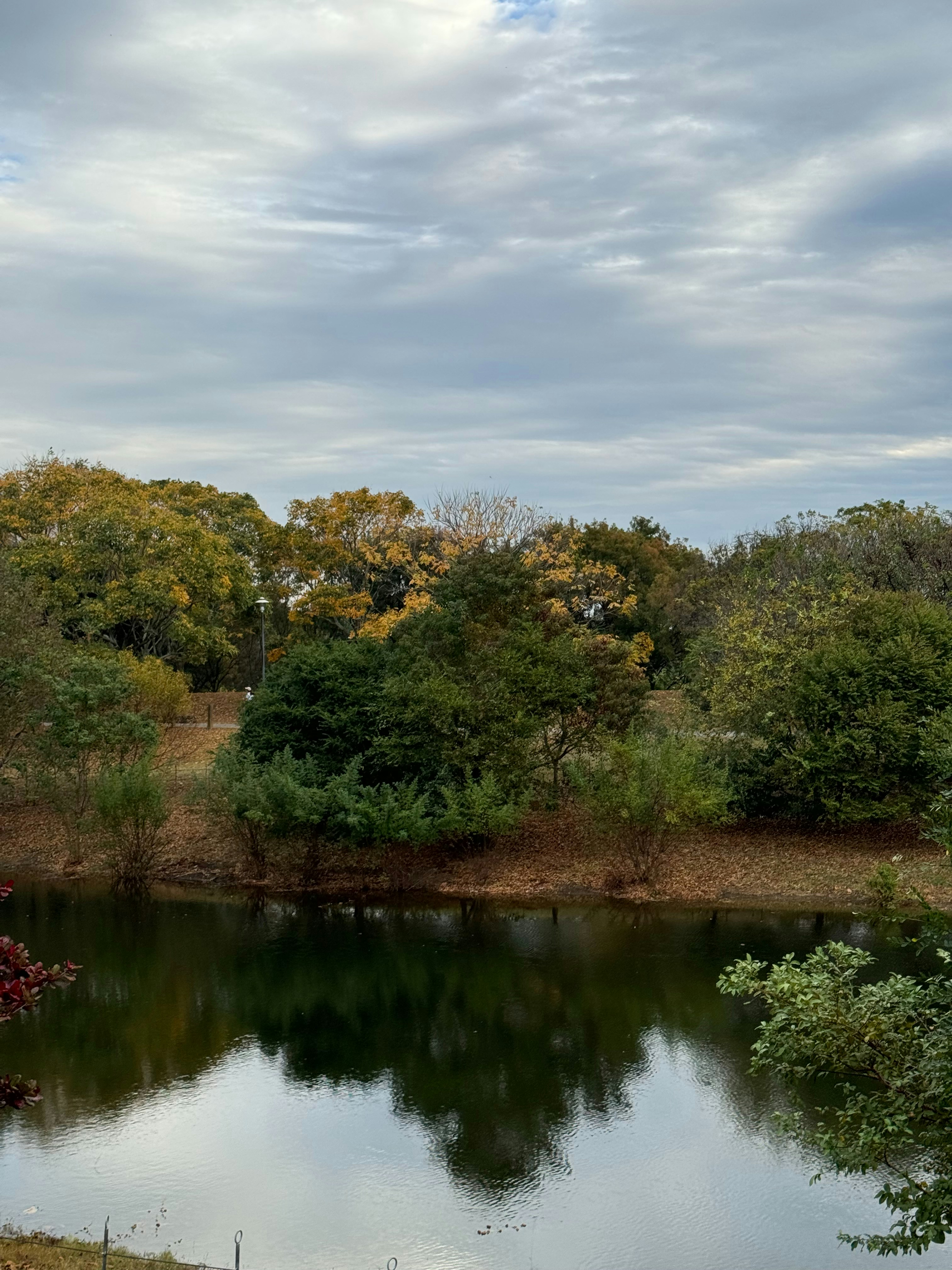 Photo by jiarongagain