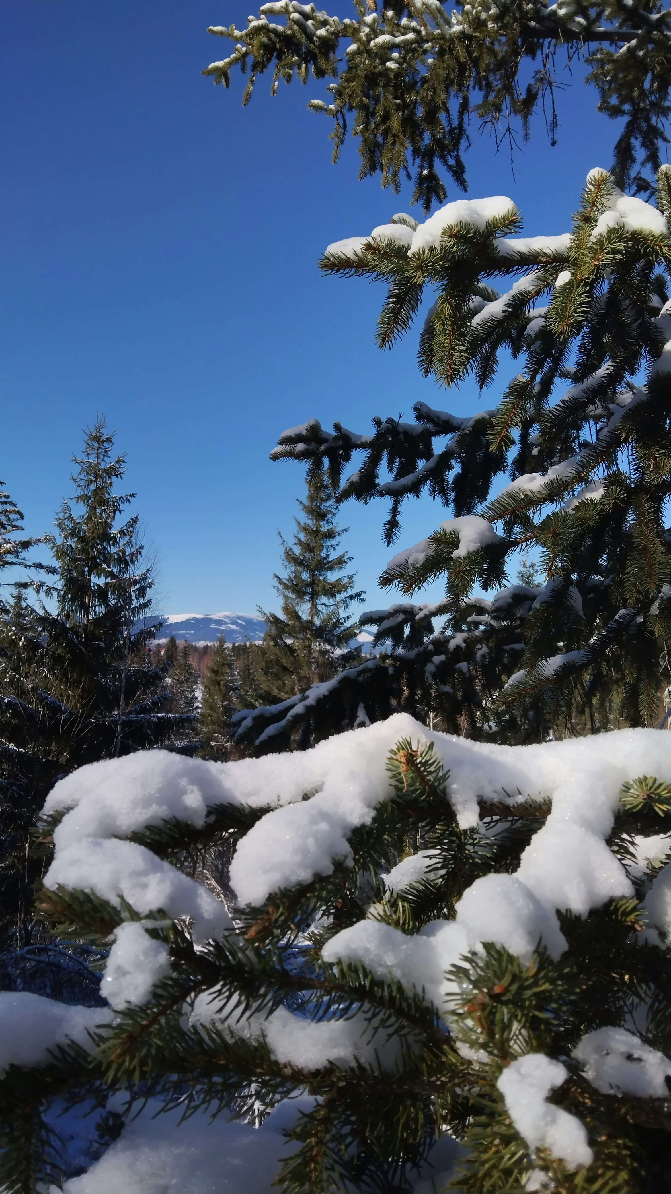 Photo by rahela20omut