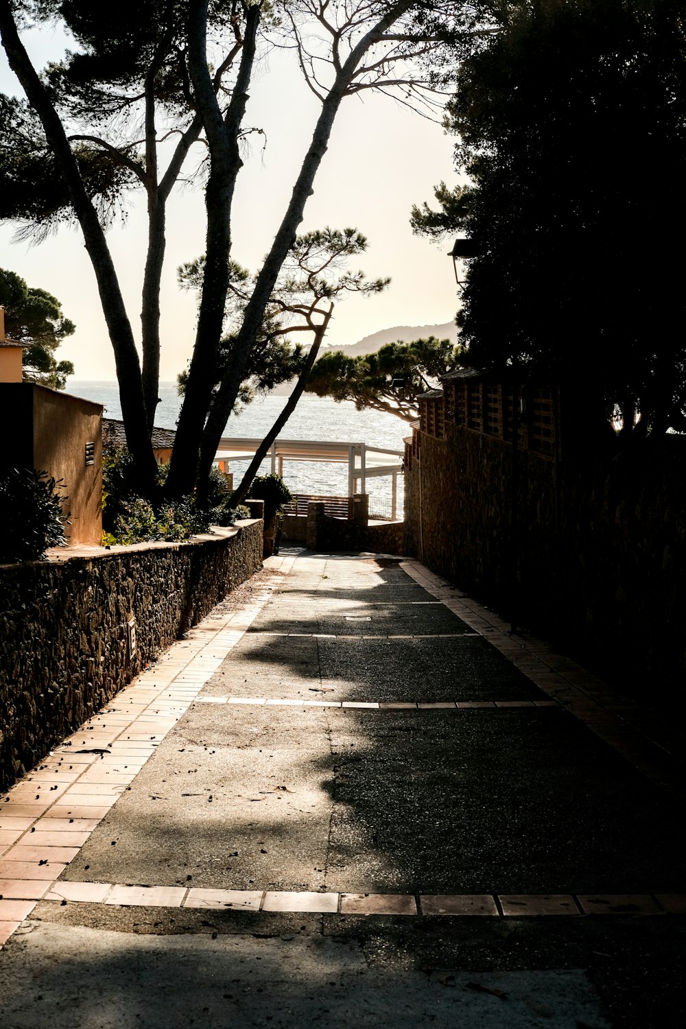 a street lined with trees next to a body of water