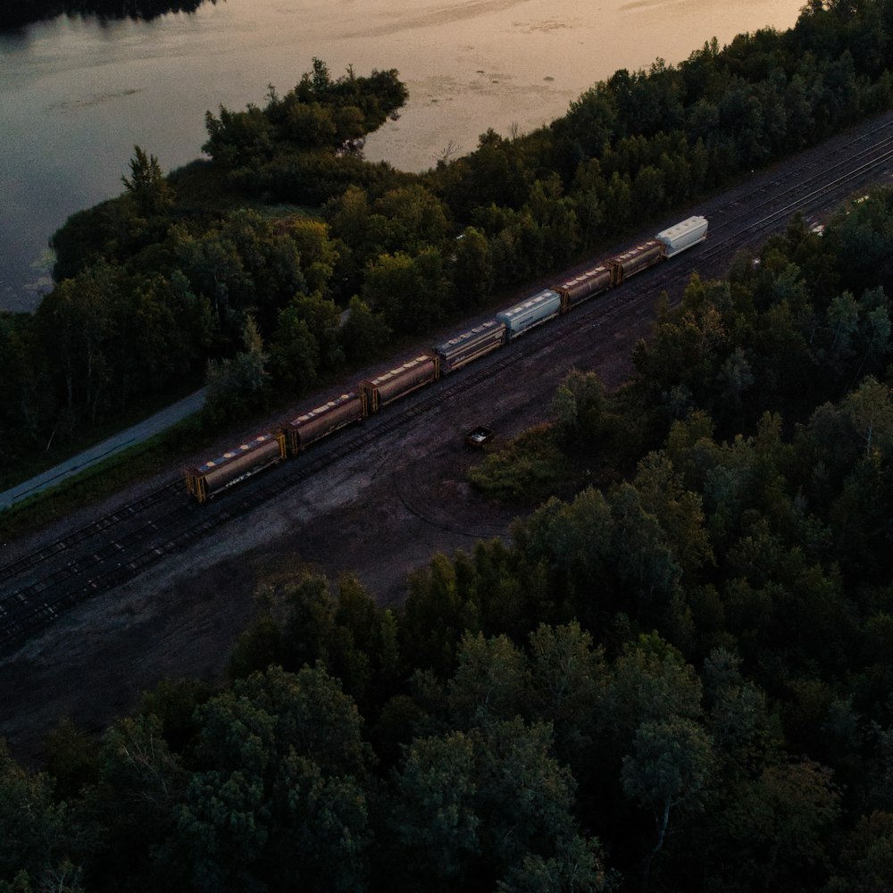 a train traveling through a forest next to a river