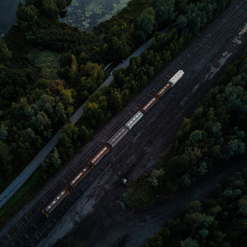 a train traveling through a lush green forest