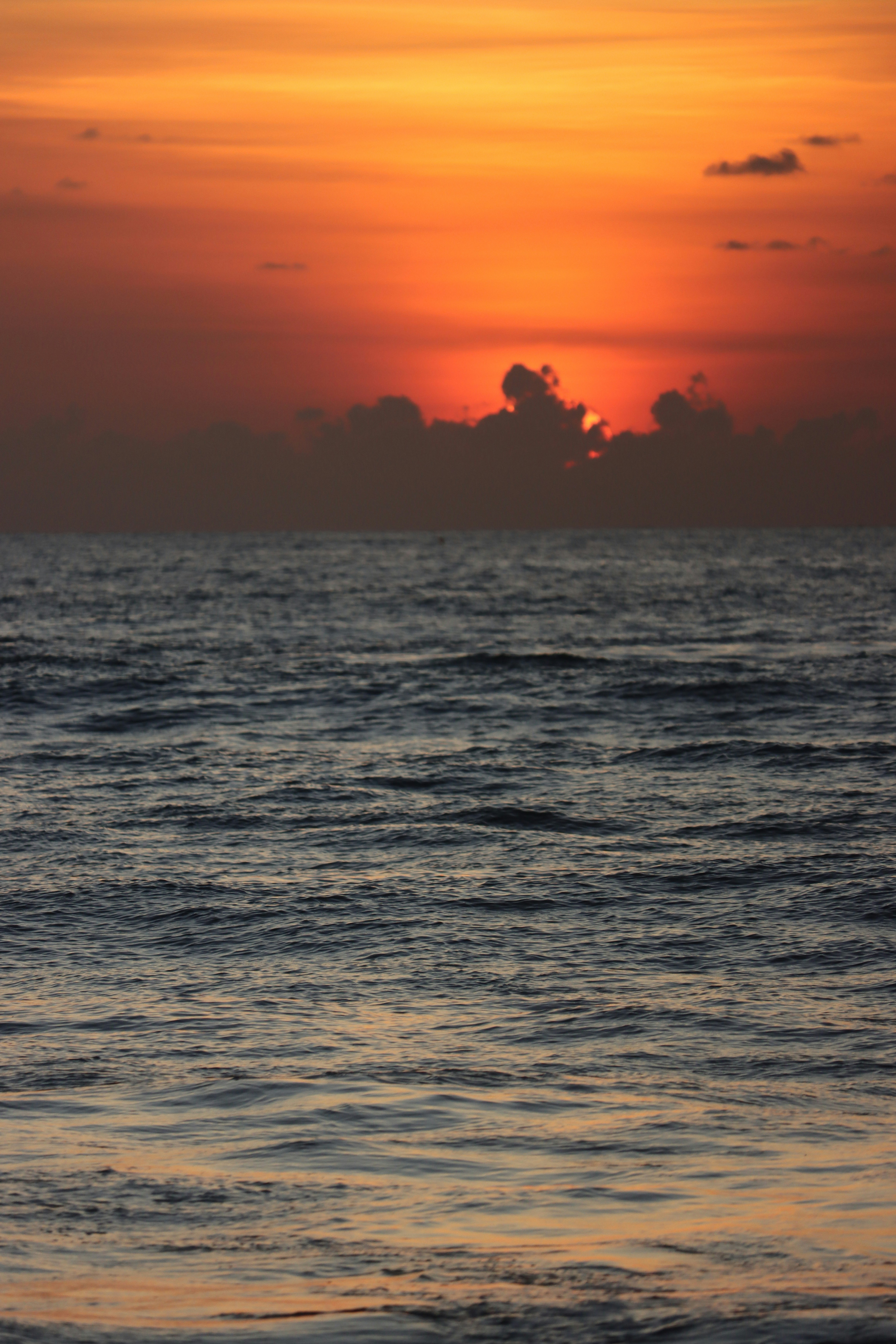 Photo by morphotography