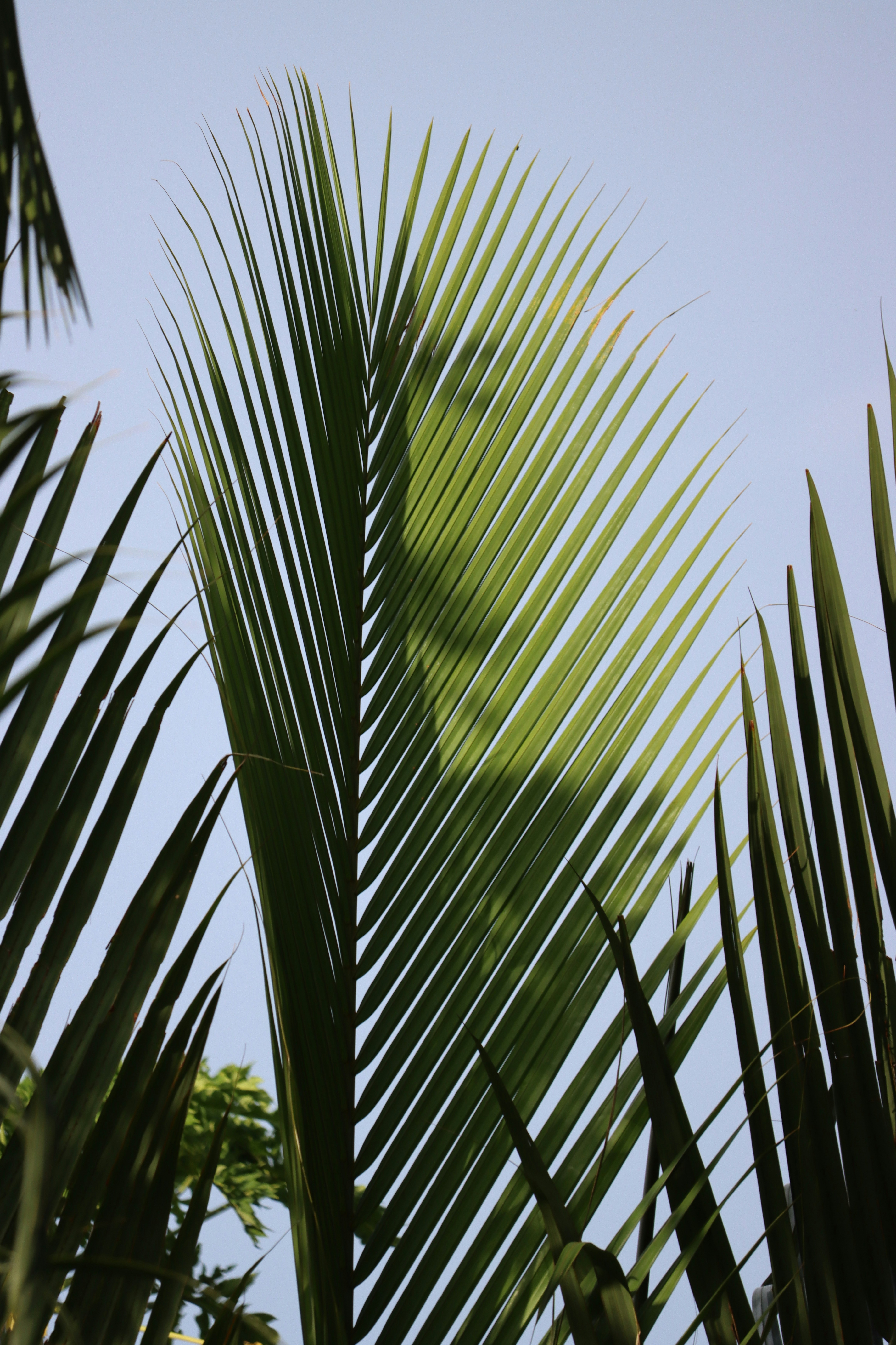 Photo by morphotography