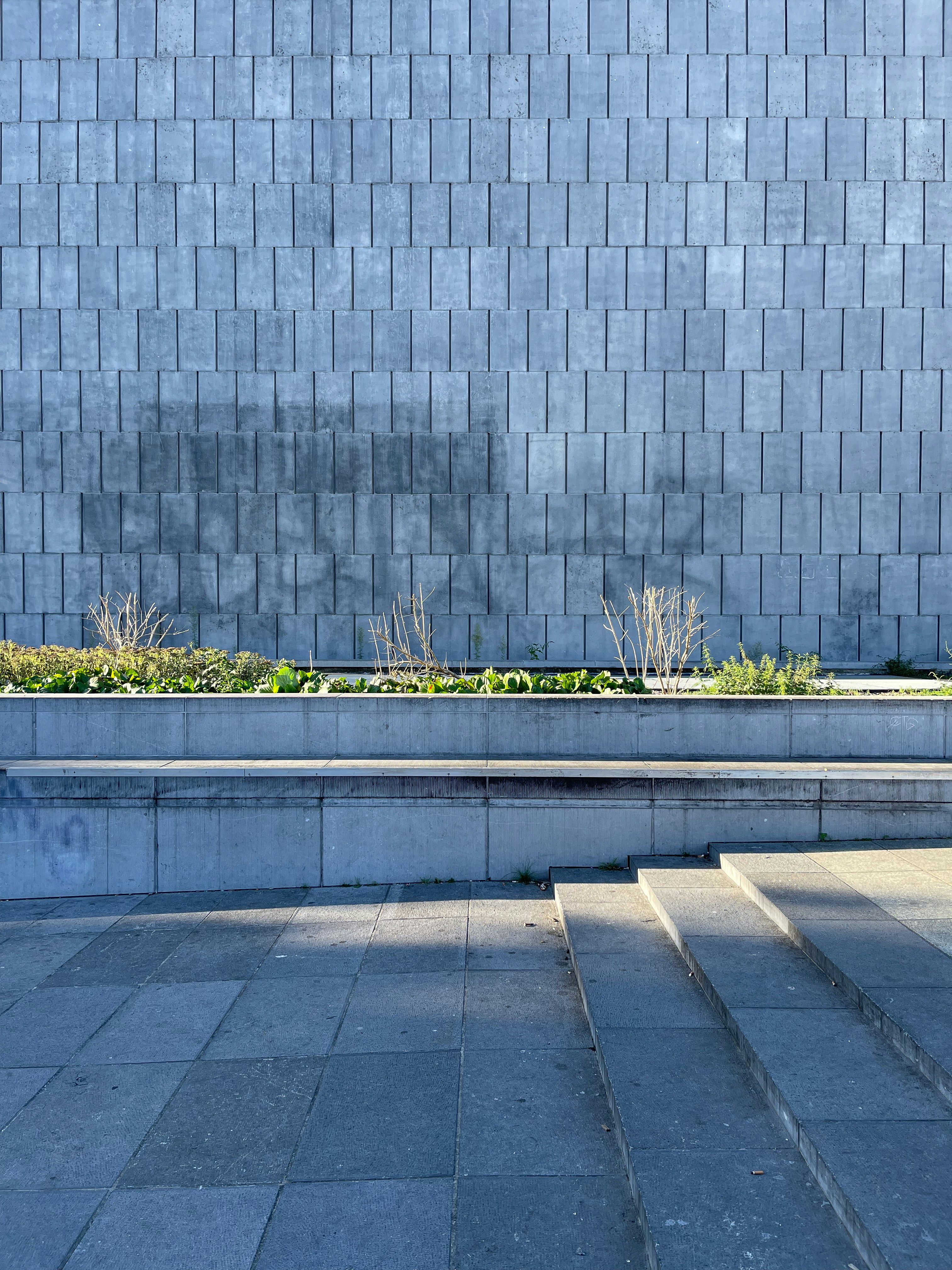 Photo by davidiscreative