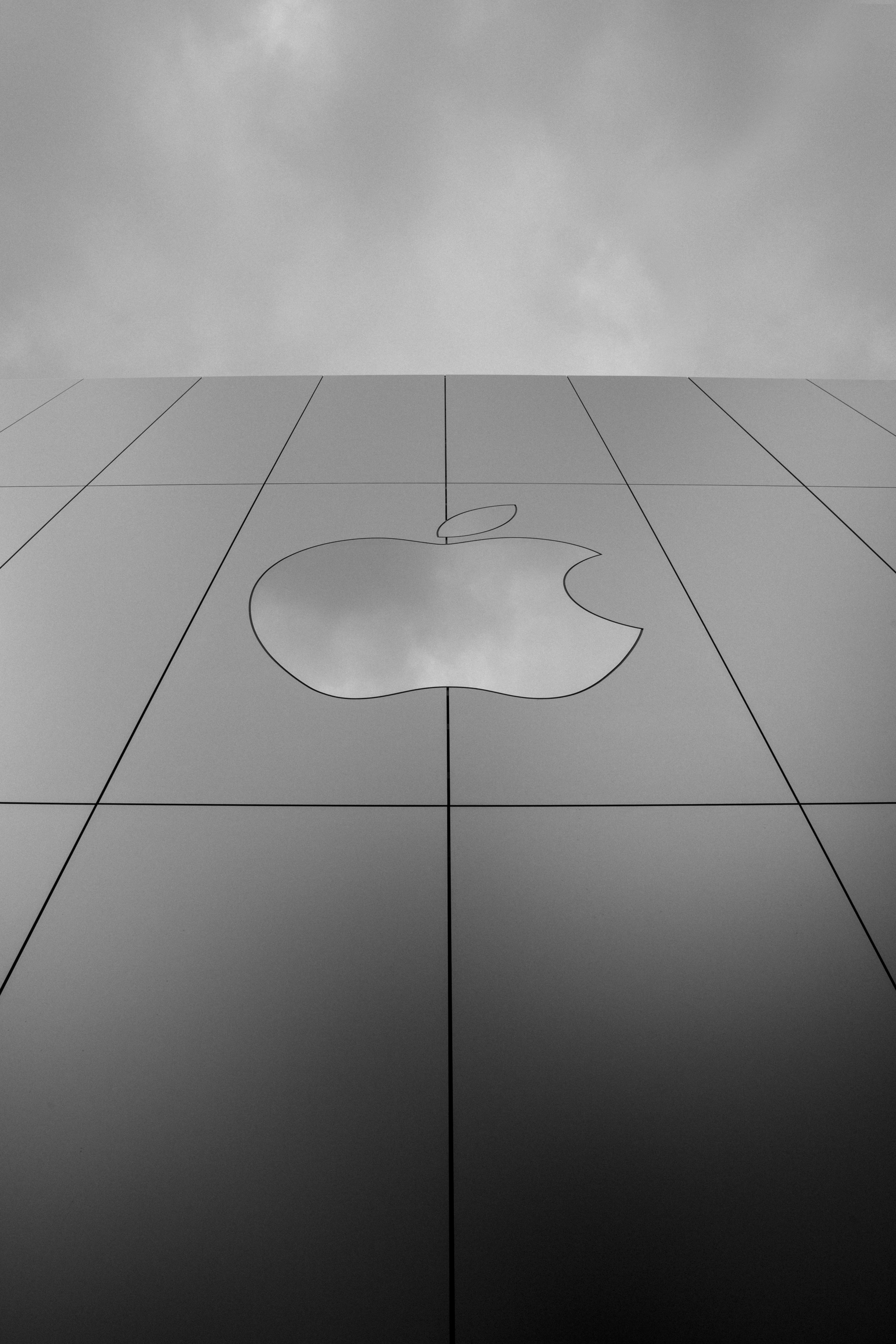 a black and white photo of an apple logo
