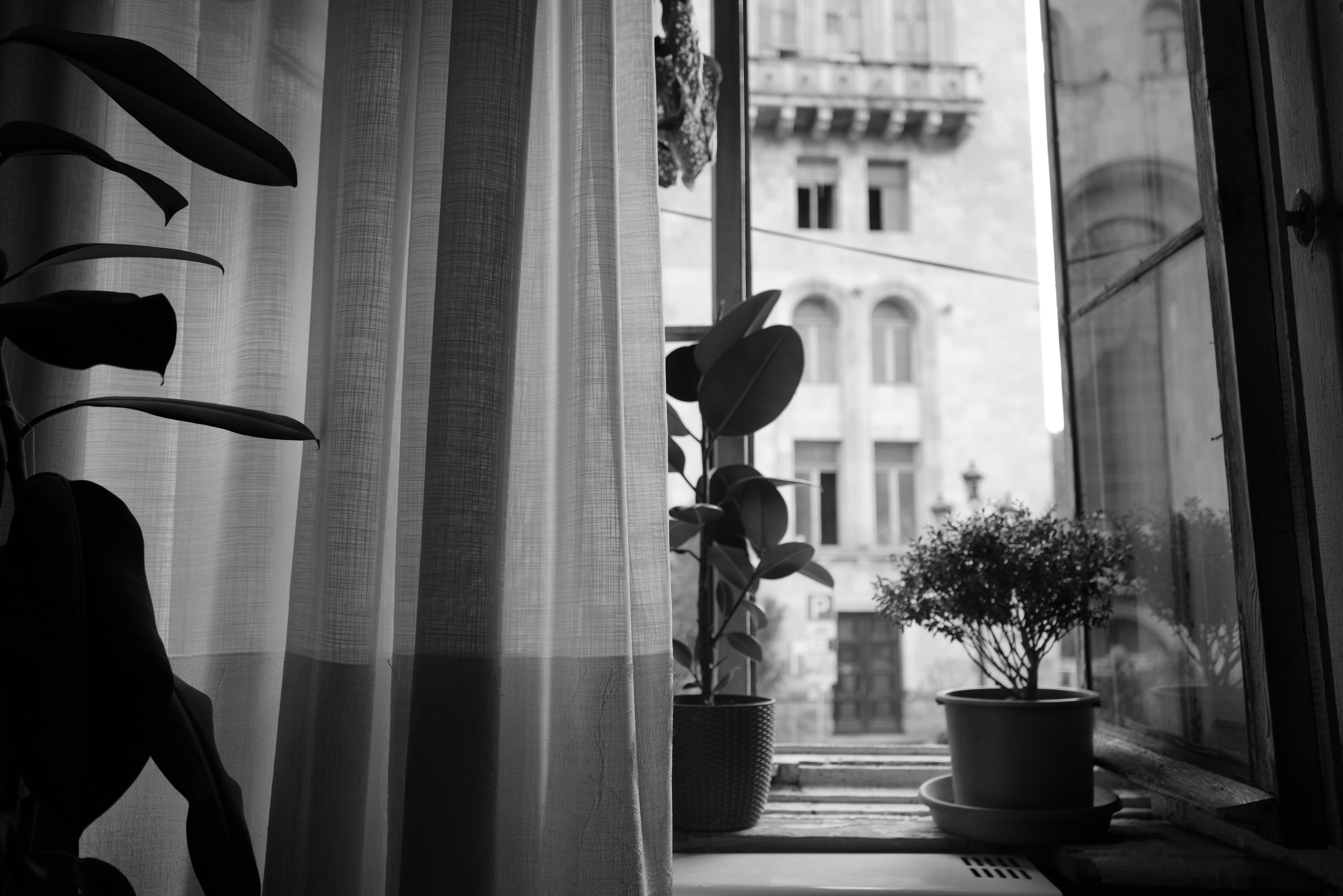 Photo by megishengelia