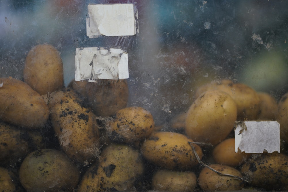 a pile of potatoes sitting next to each other