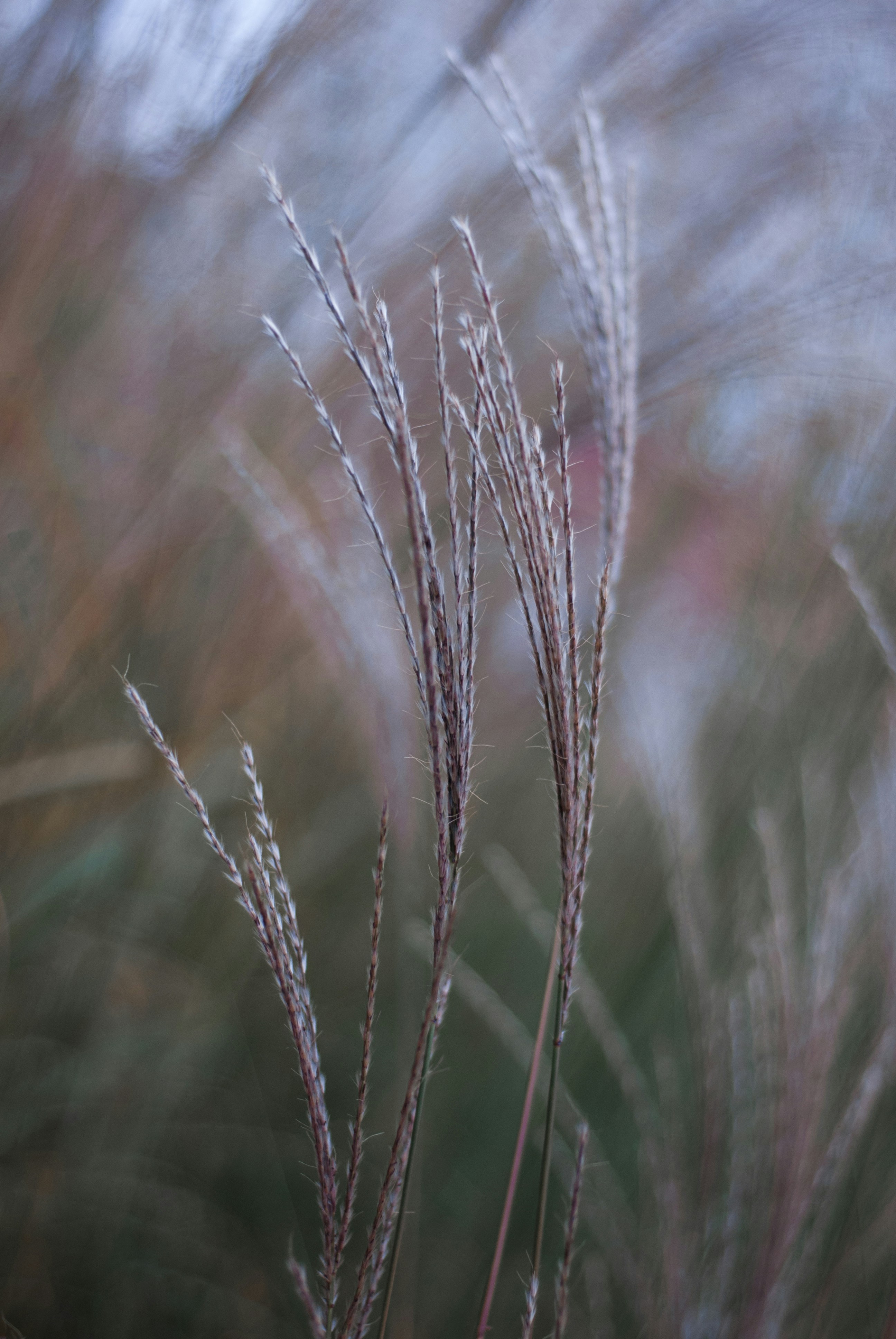 Photo by kovalskihelga