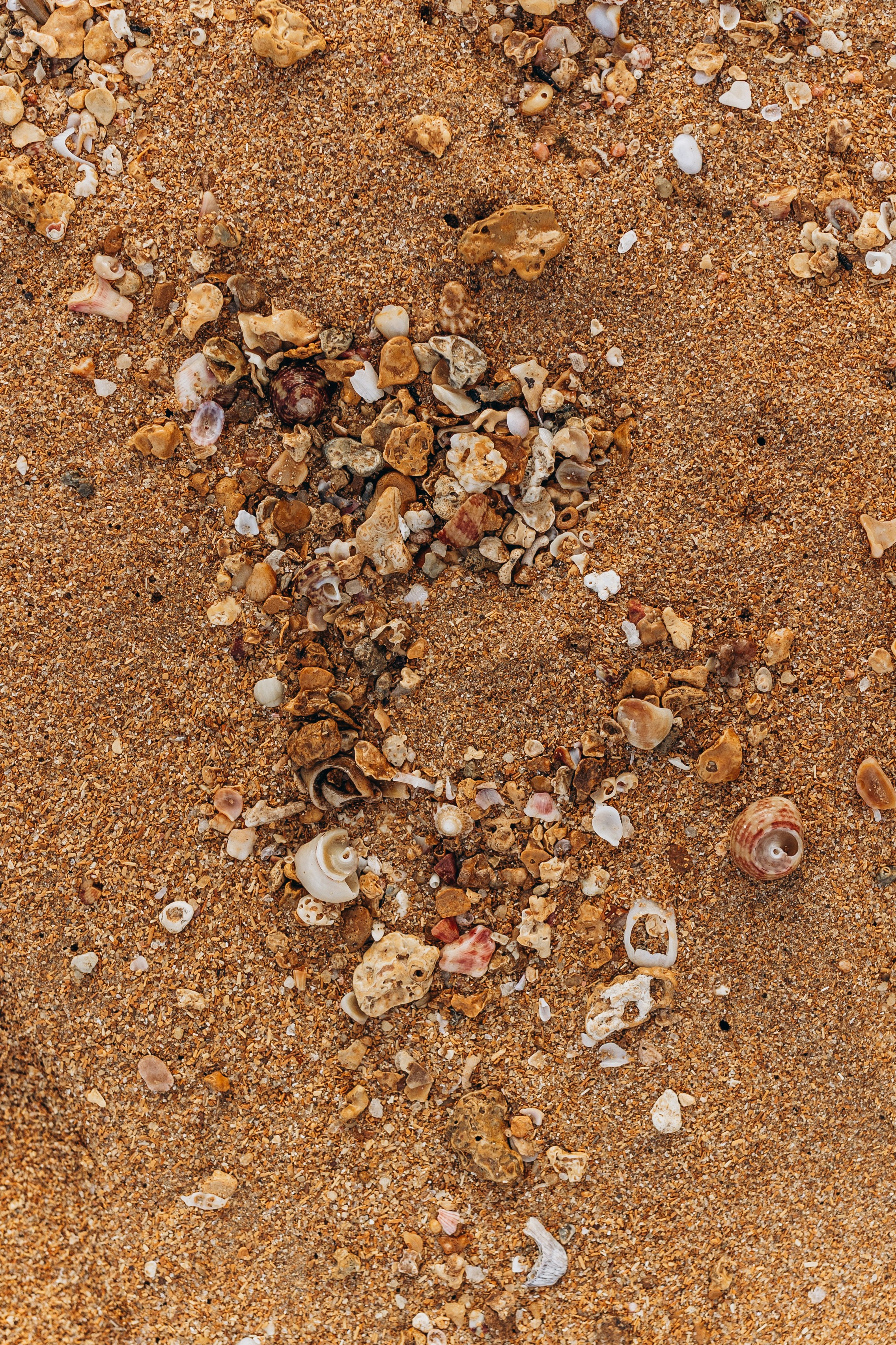 Photo by jonathanborba