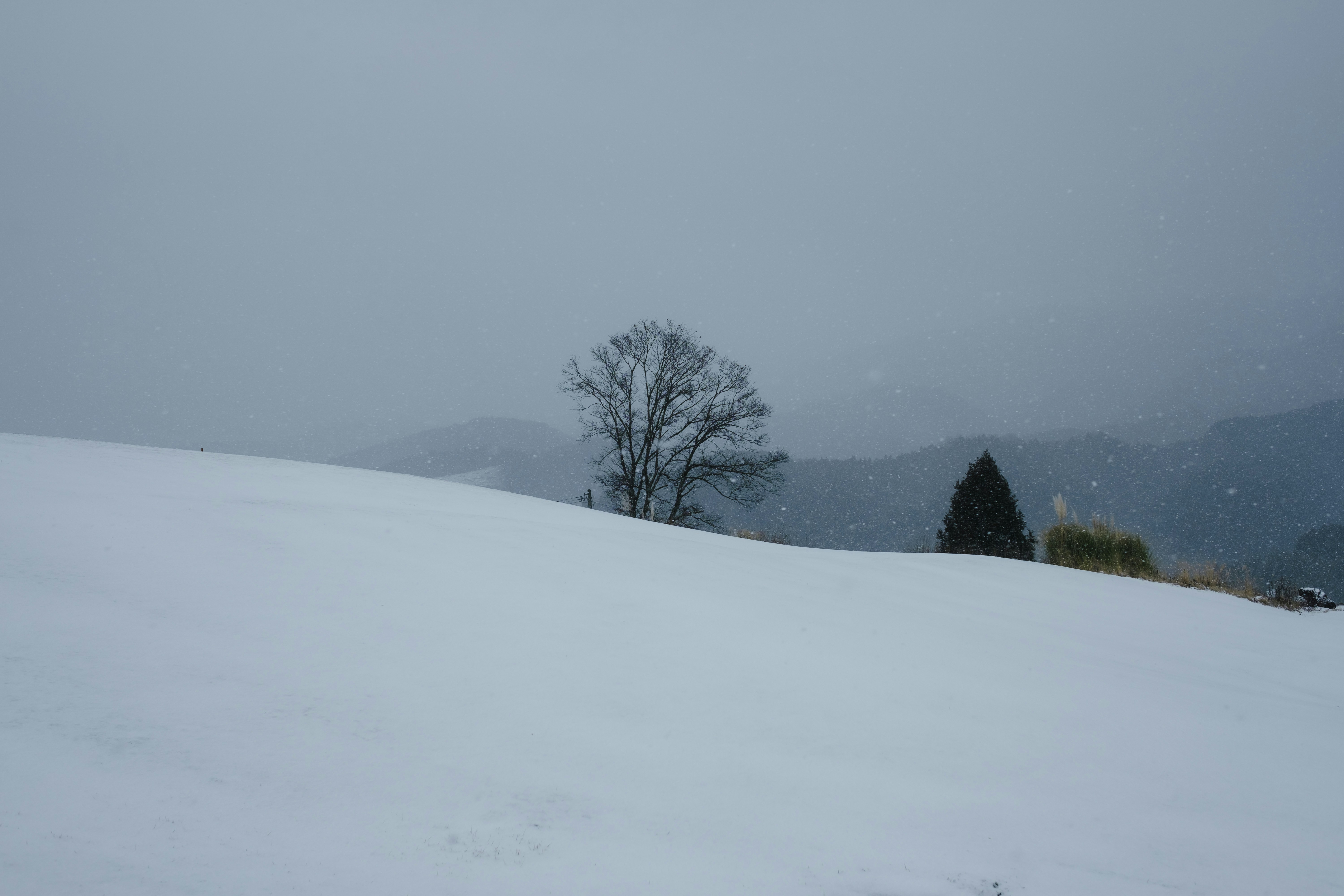 Photo by deltafilm12_