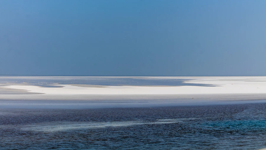 The white salt flats of the Rann of Kutch meeting blue water under a clear sky