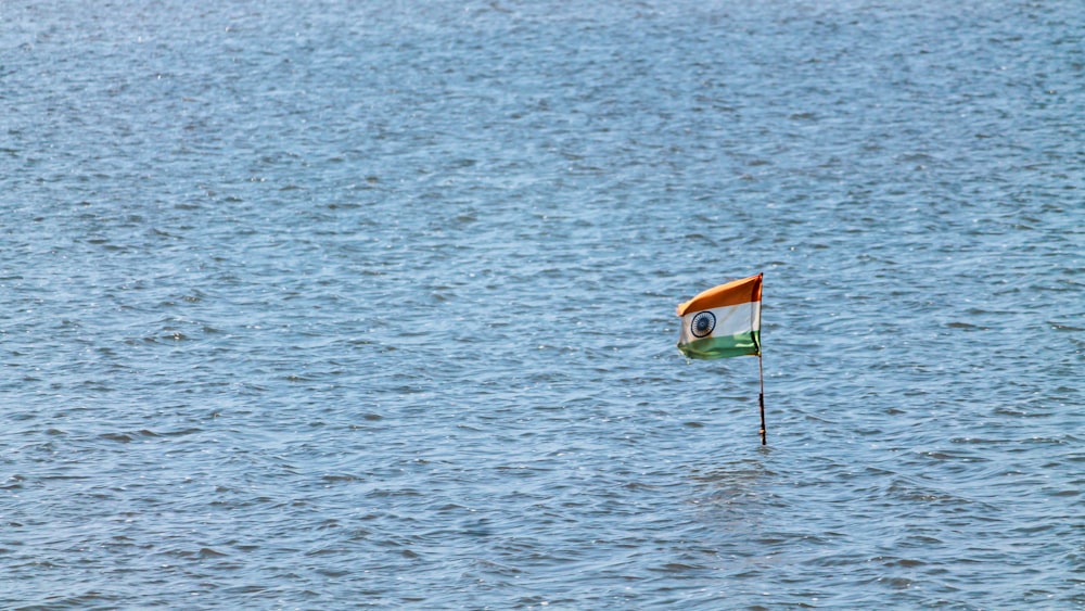 a small flag sticking out of the water