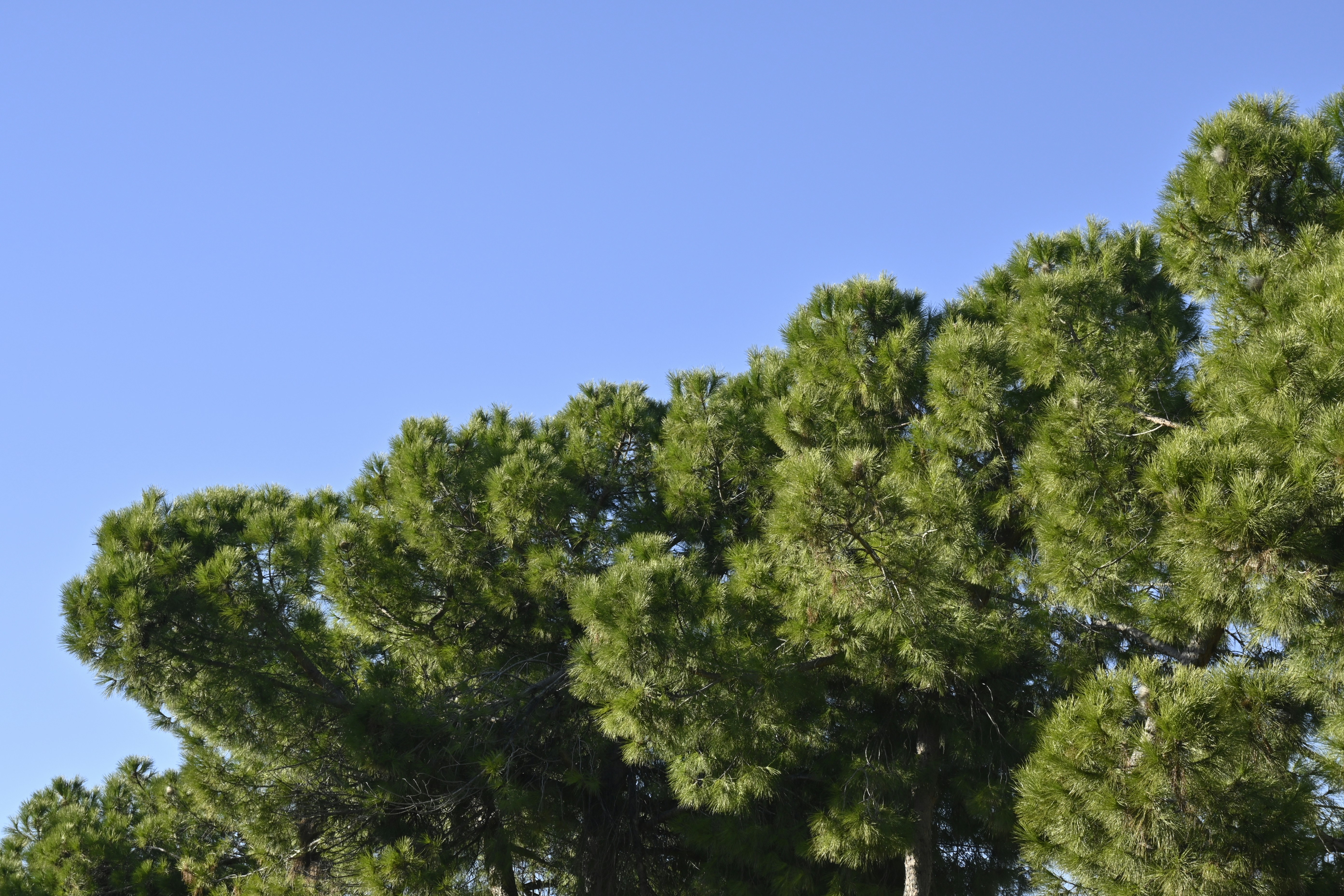 Photo by workingdeluna