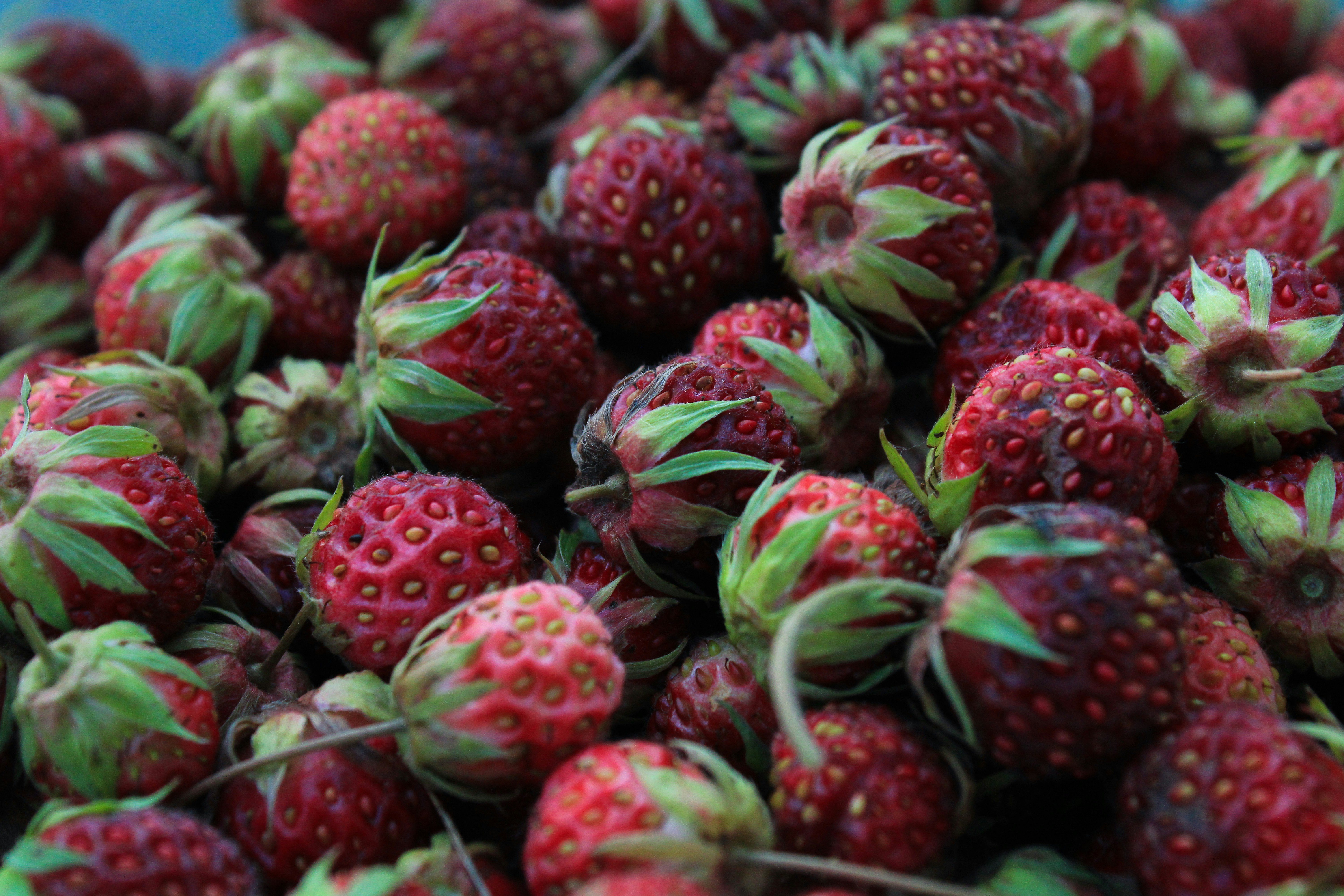 Photo by maksimzaviktorin