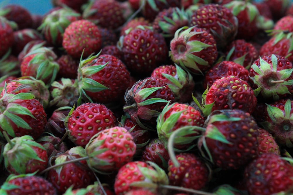 a close up of a bunch of strawberries