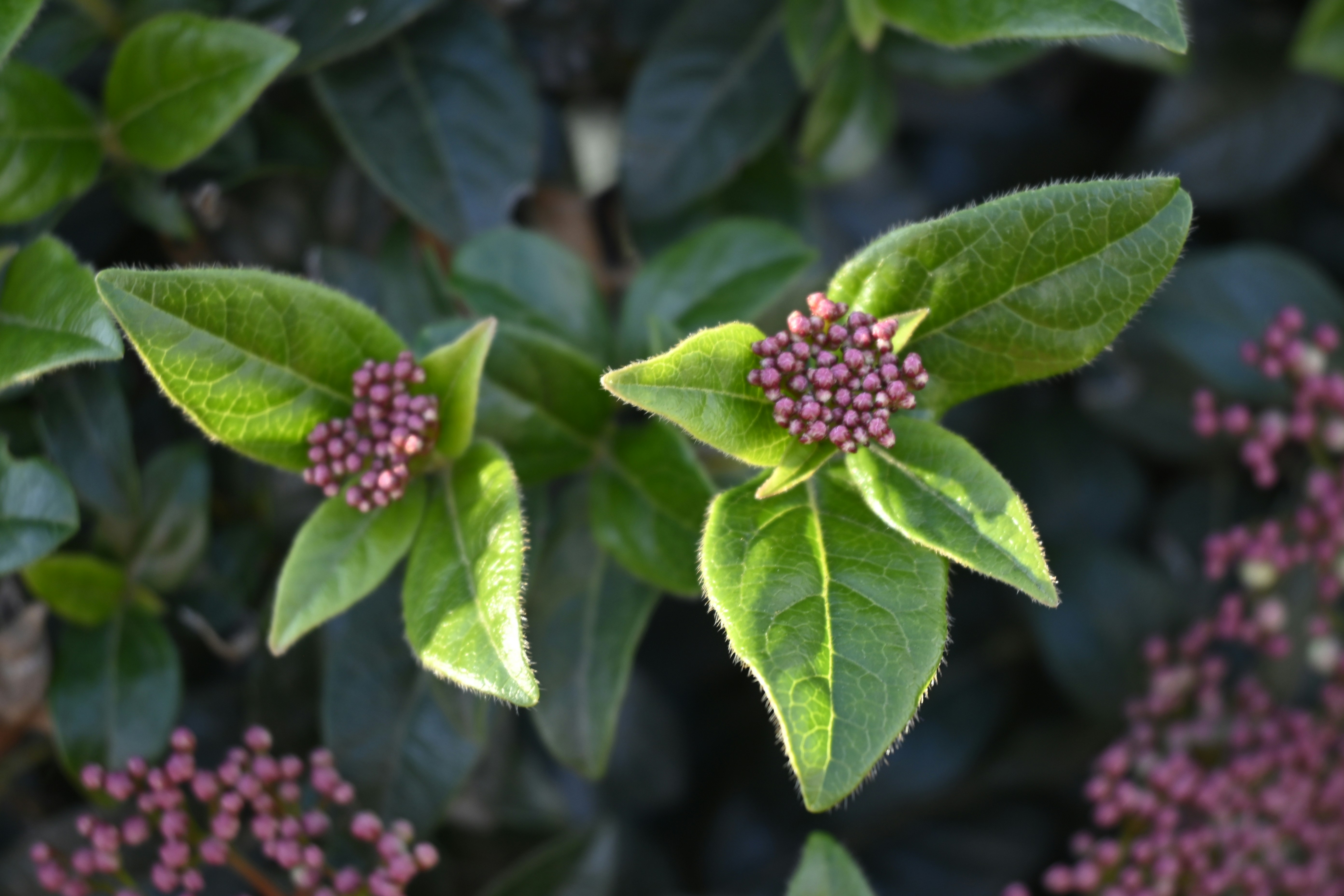 Photo by workingdeluna