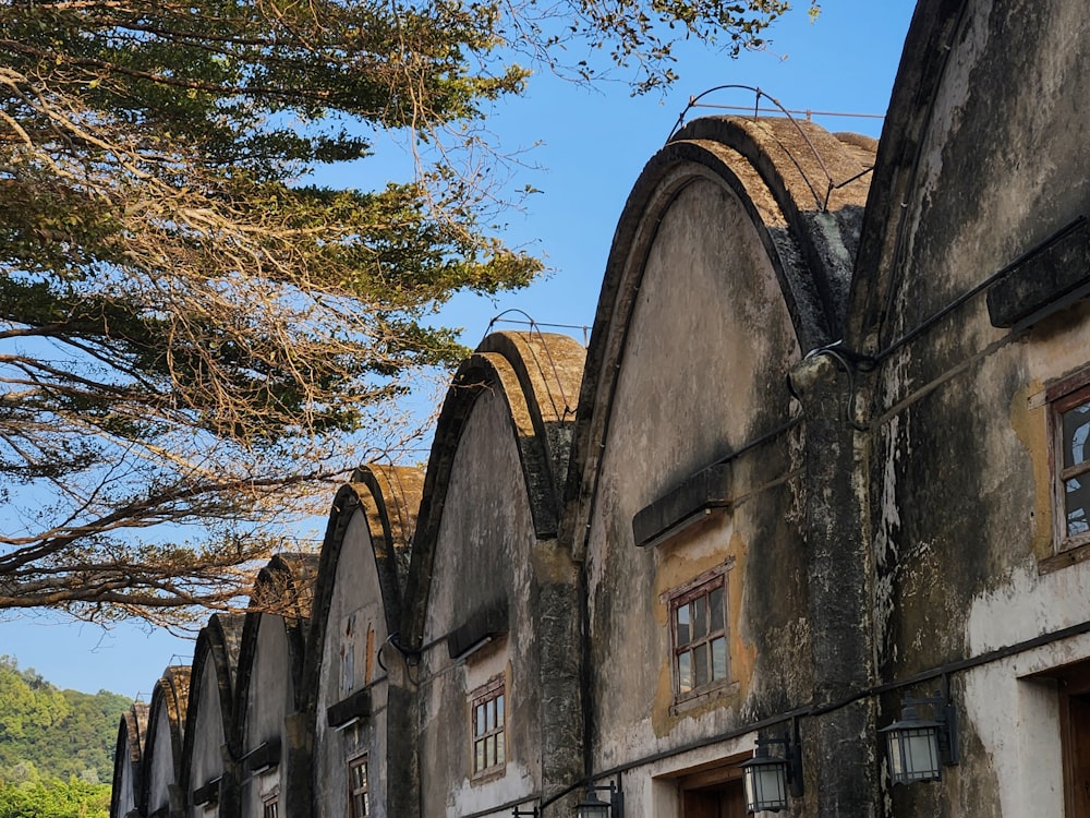 a row of old buildings next to a tree