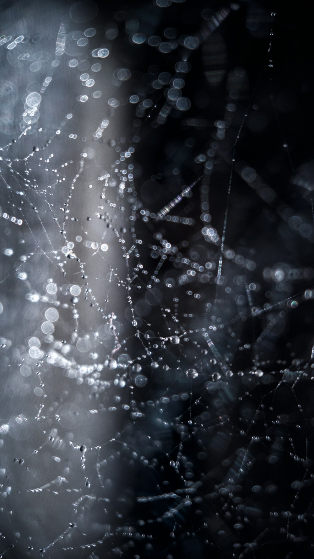 rain drops on a window with a dark background