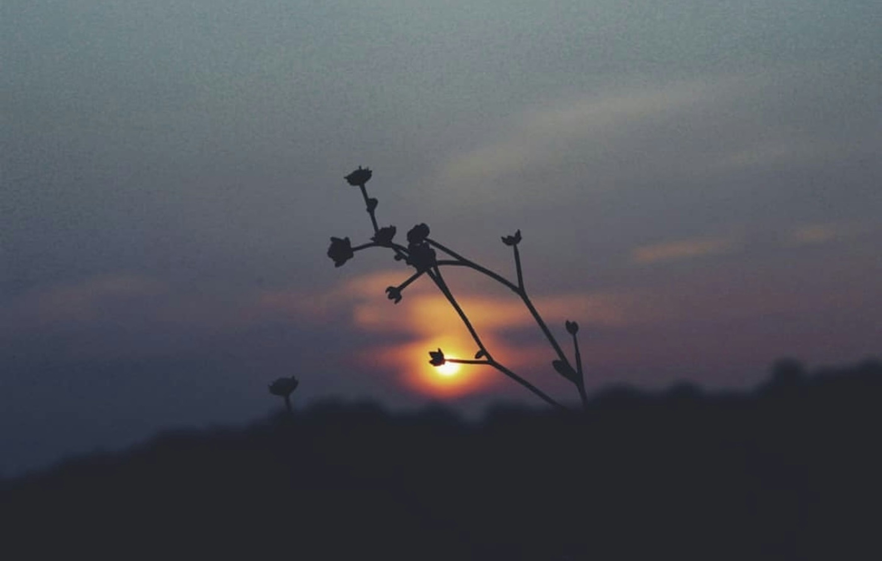 Photo by eyeseeicapture