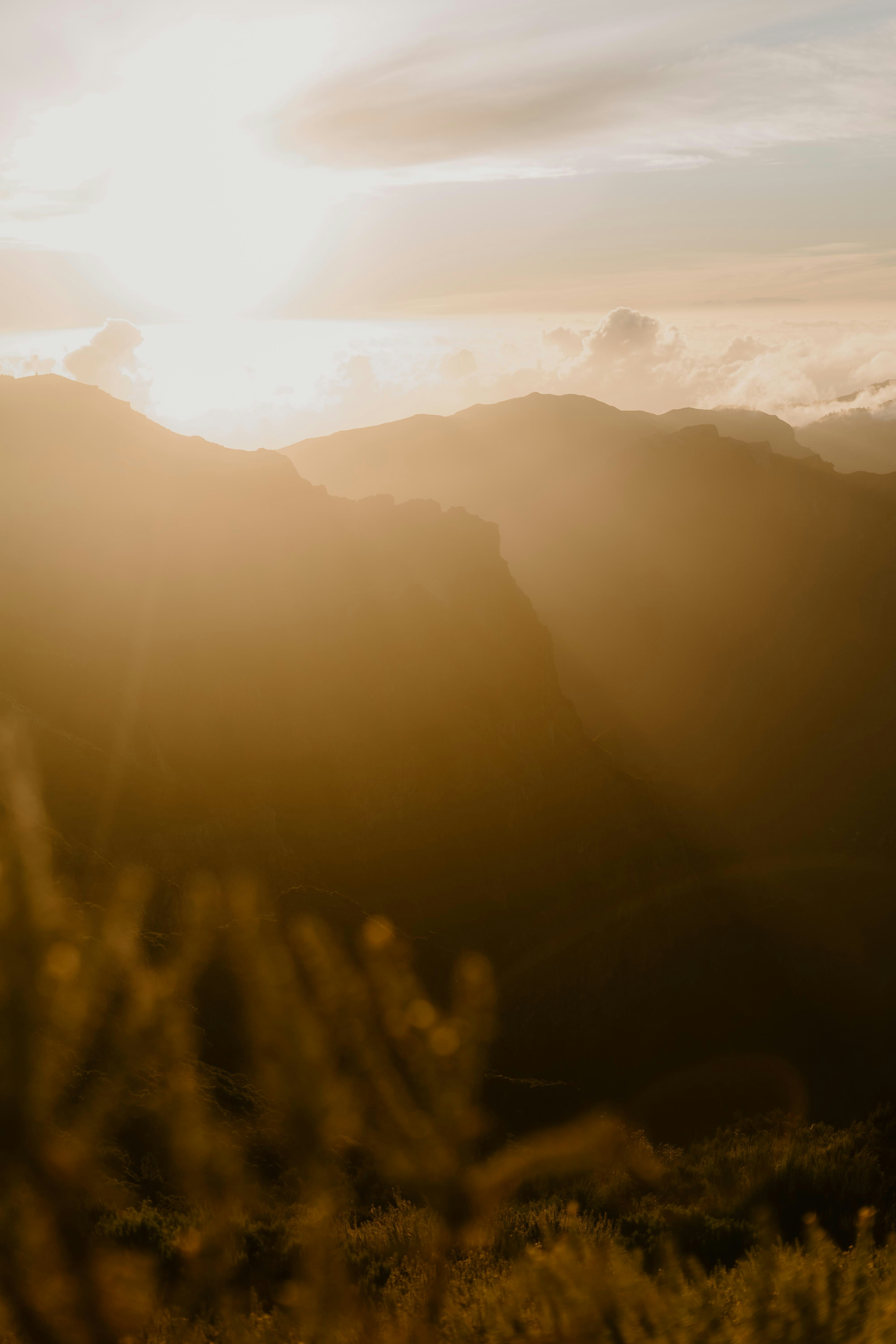 Photo by lenakestler