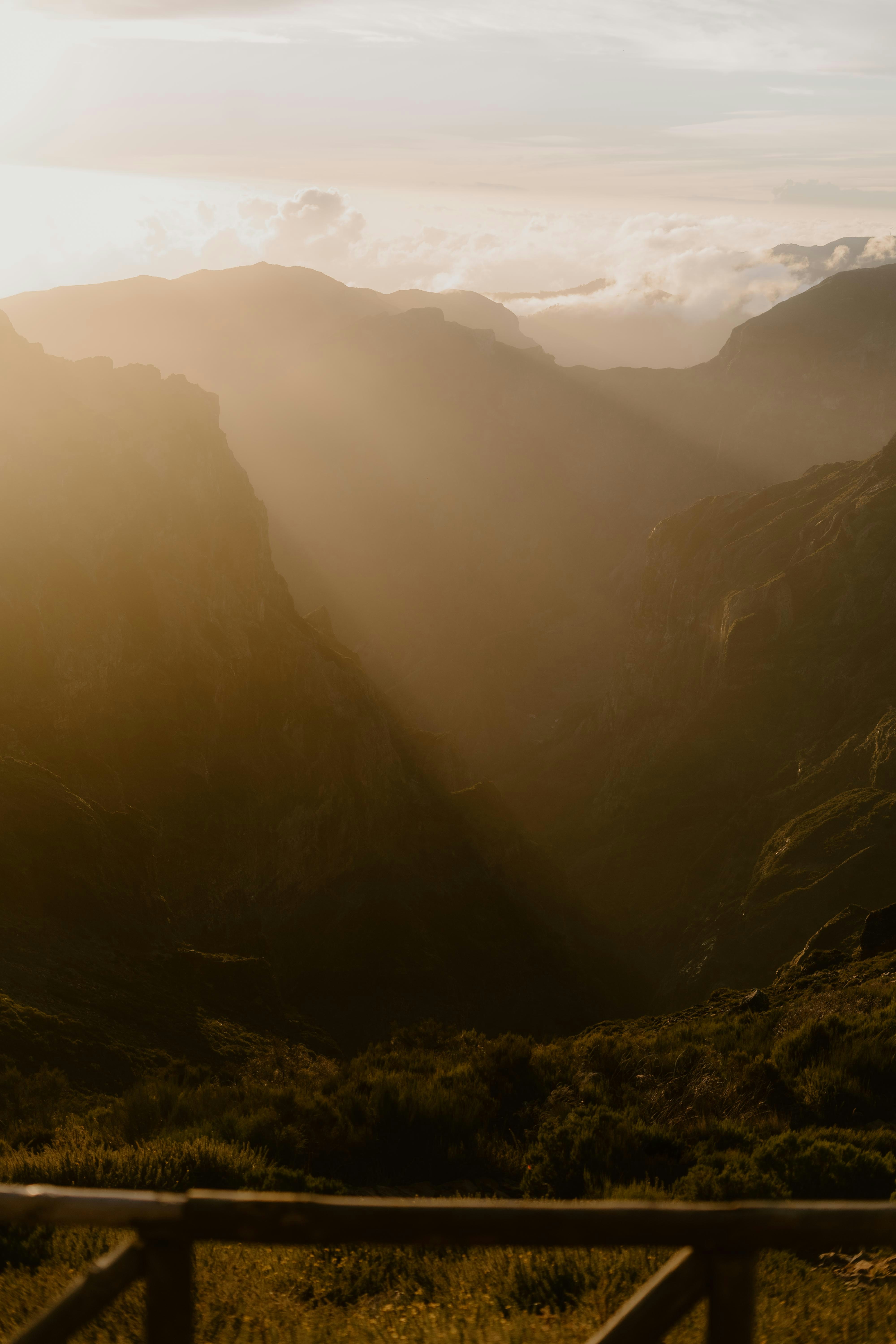 Photo by lenakestler