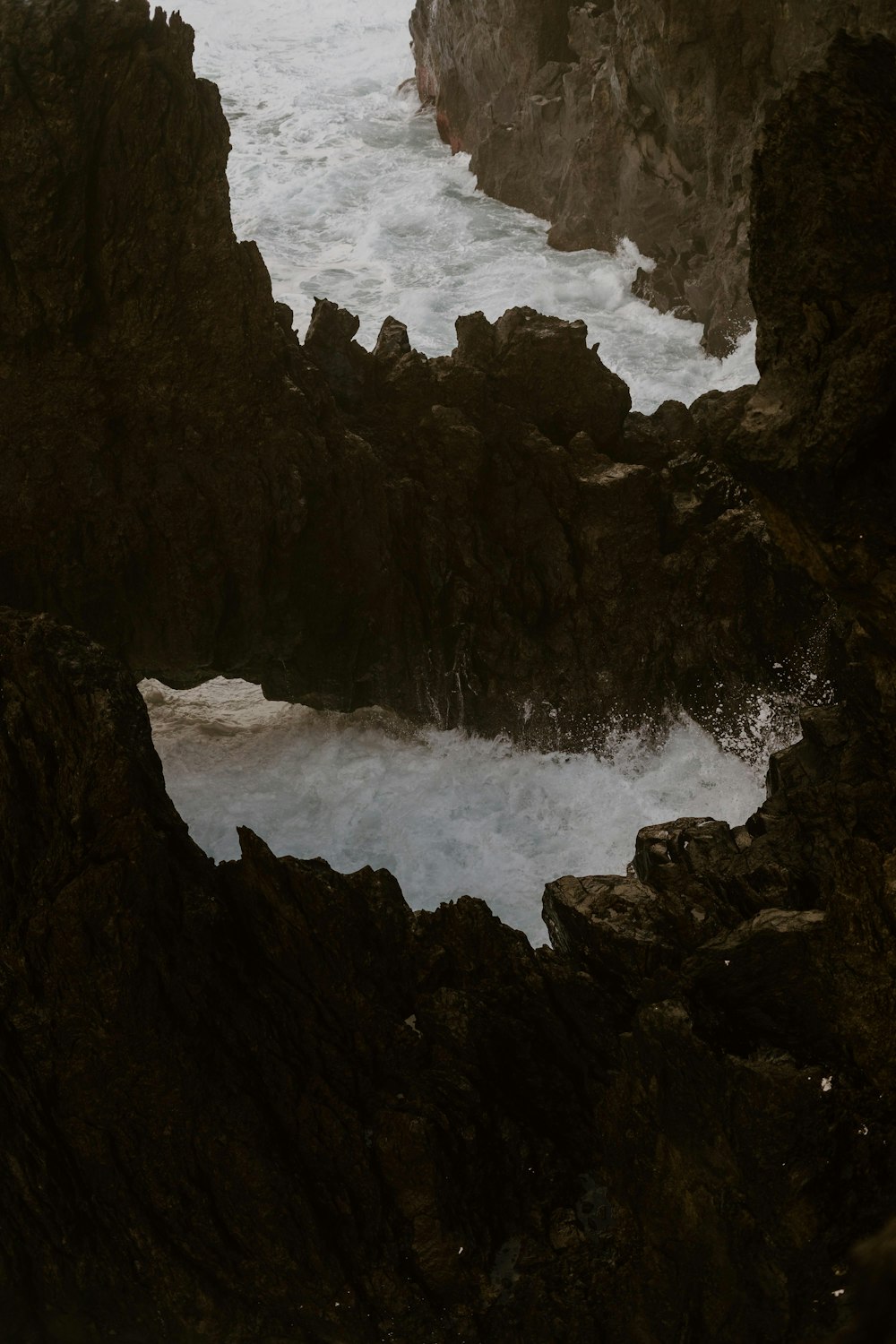 a bird sitting on a rock near a body of water