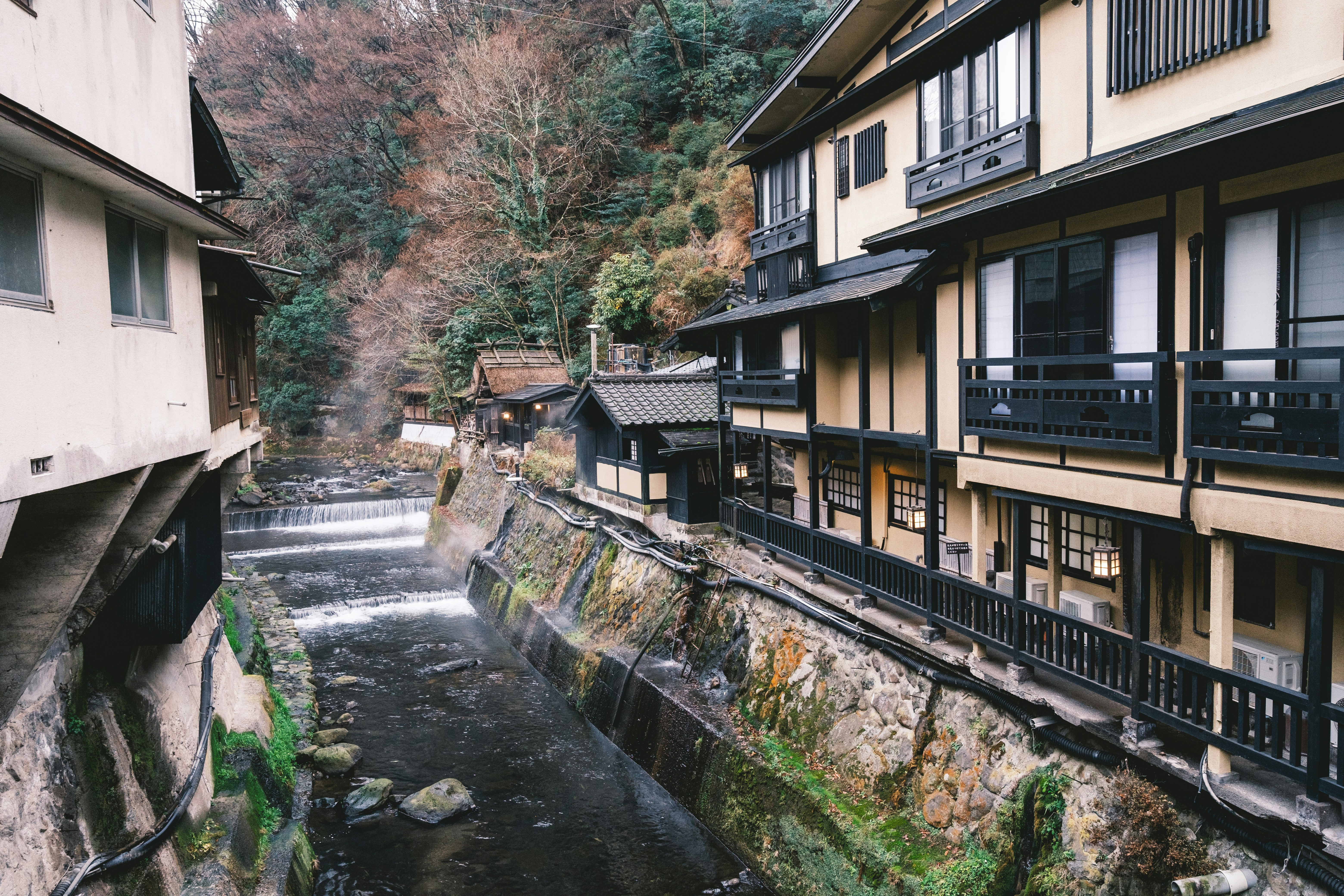 Photo by nichiyoshi