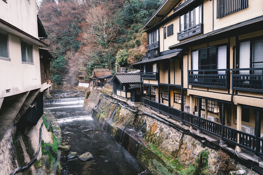 a river running between two buildings next to a forest