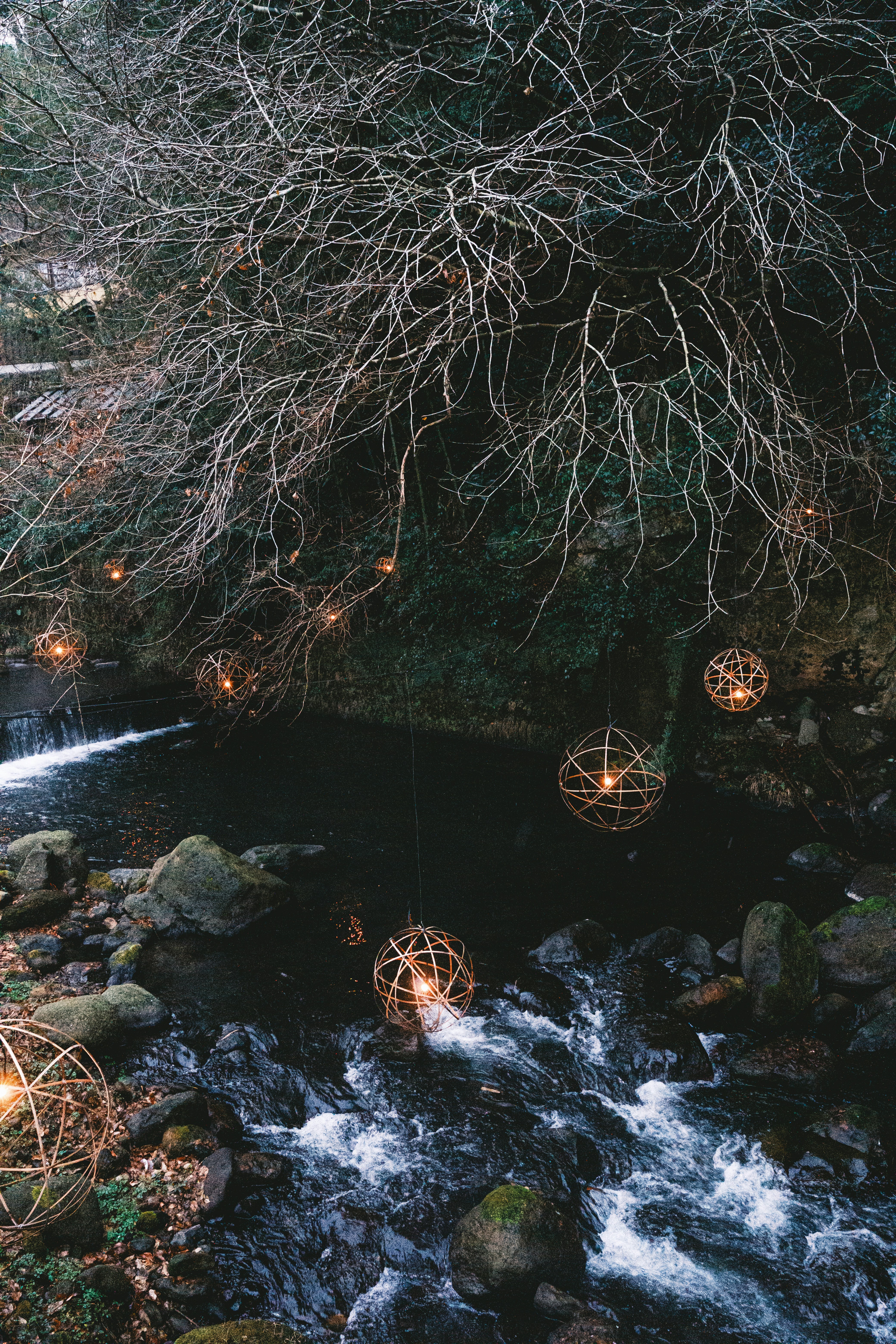 나무가 무성한 숲 사이로 흐르는 시냇물