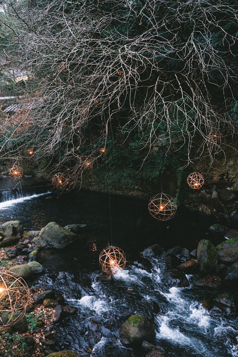 a stream running through a forest filled with lots of trees