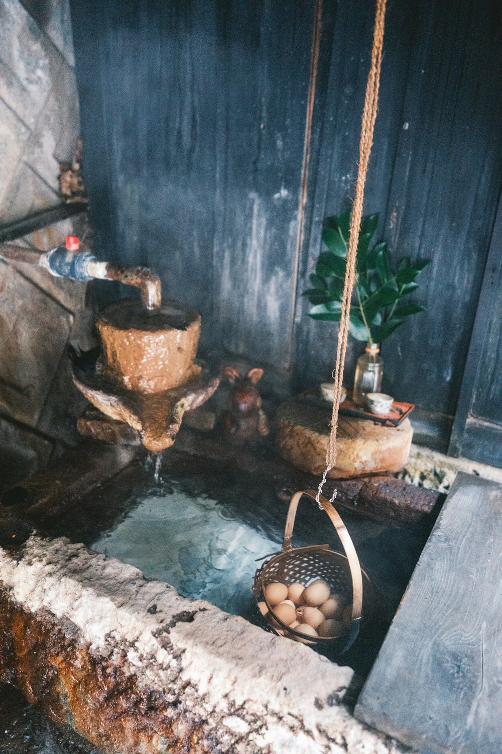 a bathroom with a sink and a potted plant