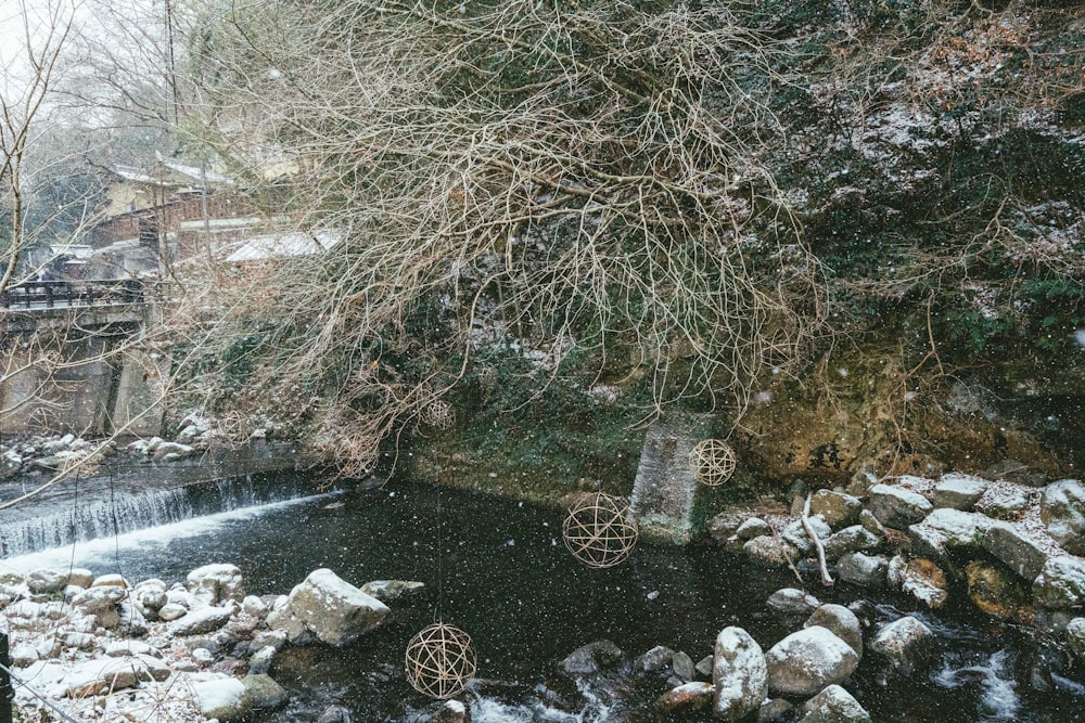 a stream running through a forest covered in snow