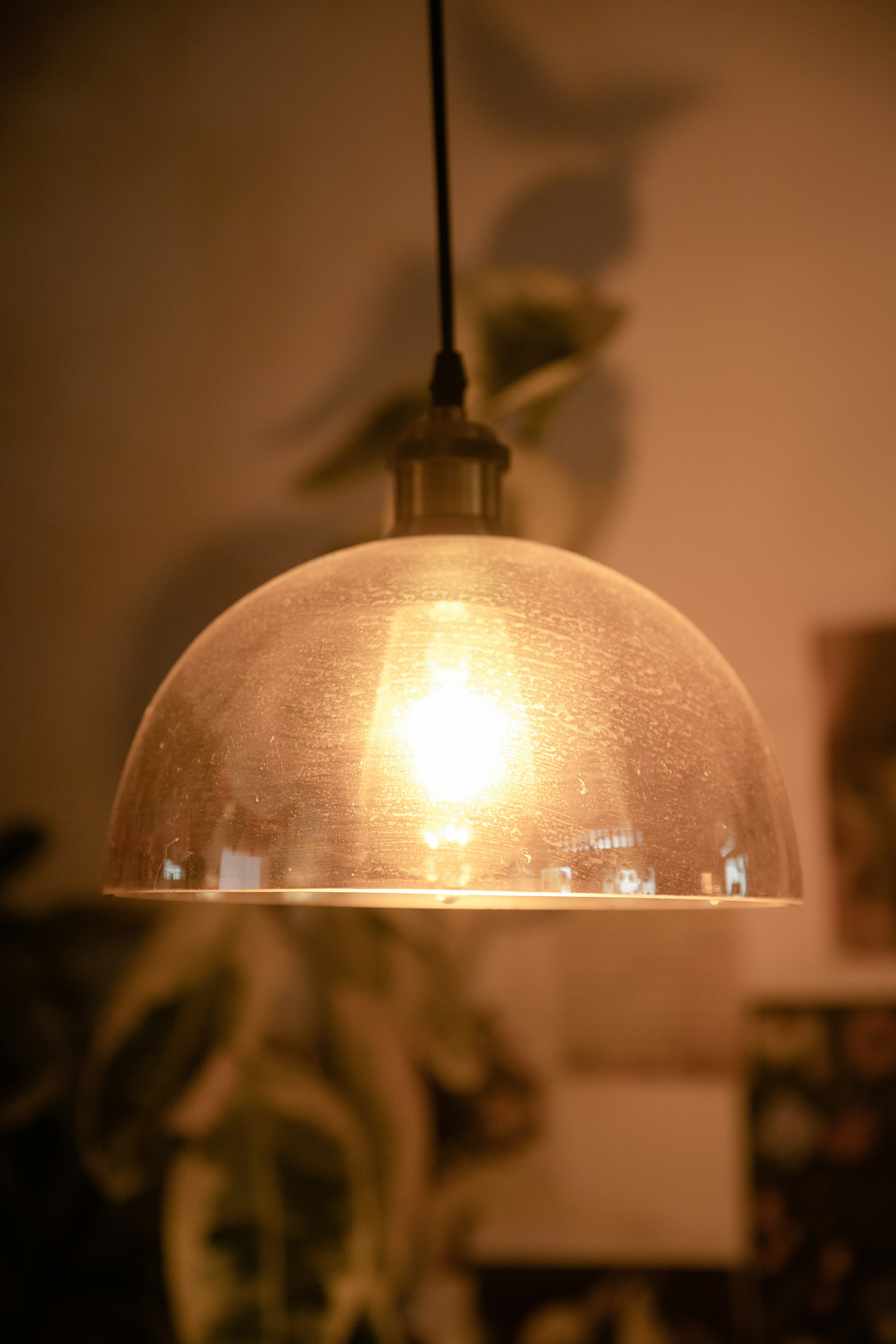 Photo by chuchu123456