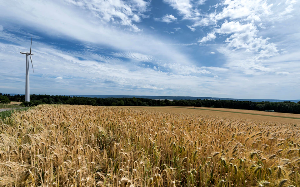 The image depicts a vast field of golden wheat under a clear blue sky with fluffy white clouds. In the center of the frame, there is a wind turbine standing tall and proud amidst the sea of wheat. The perspective of the photo is from above, providing an expansive view of the field and its surroundings.