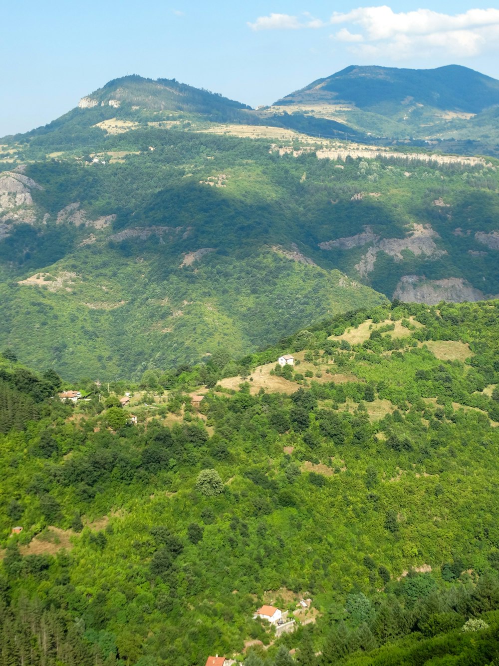 a view of a lush green hillside with mountains in the background