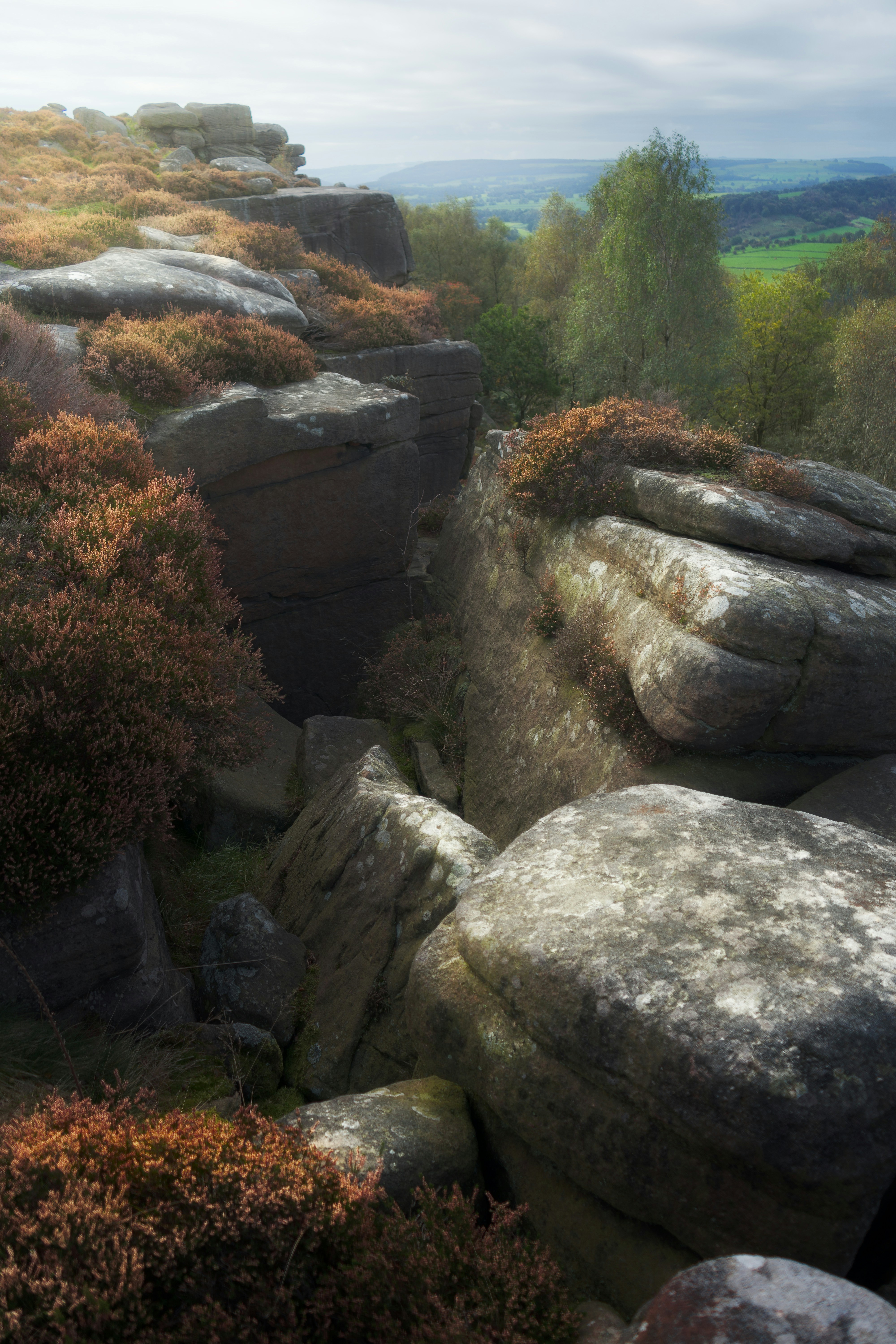 Photo by iancylkowskiphotography