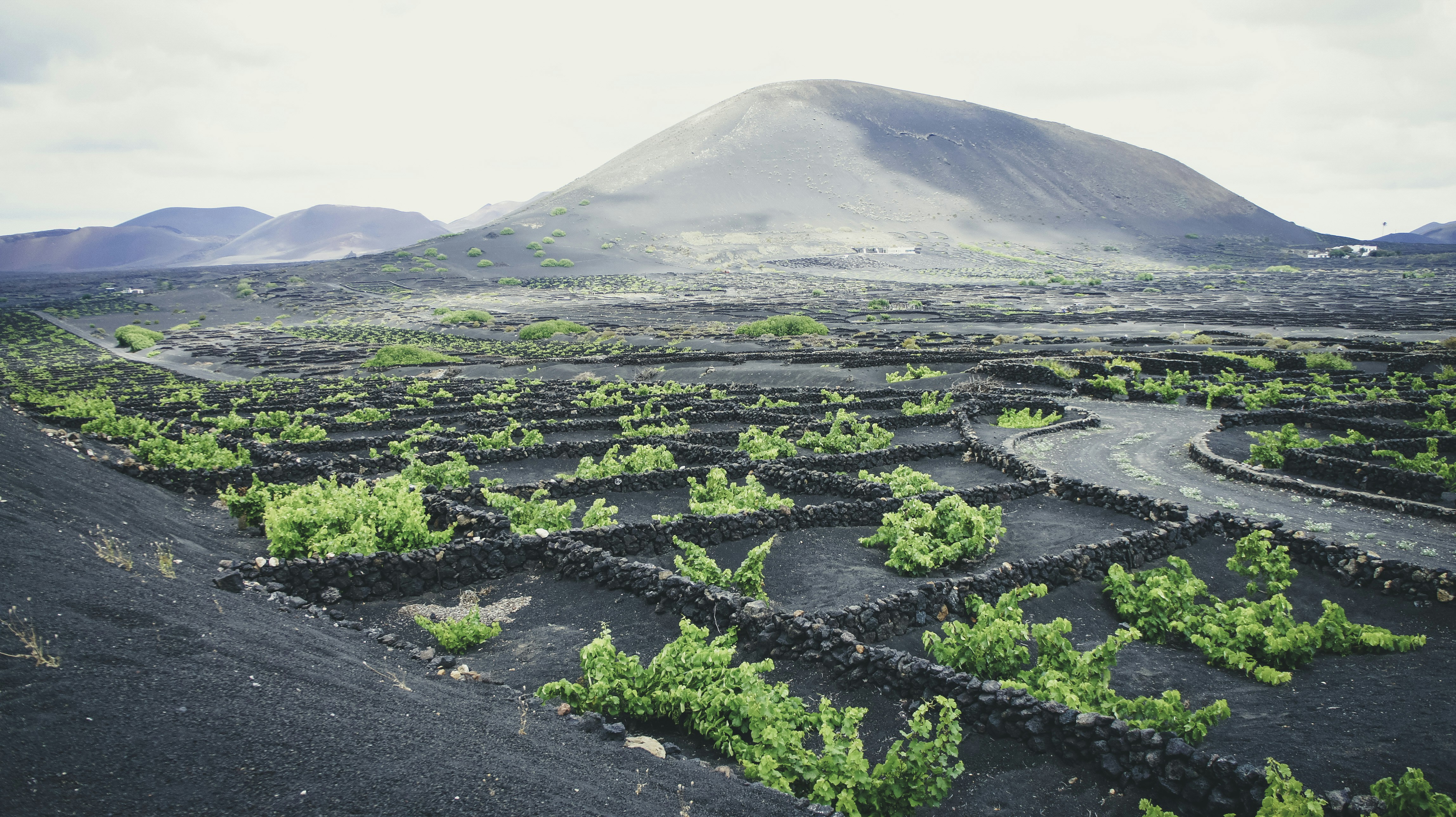 Turtle Islands Mud Volcanoes