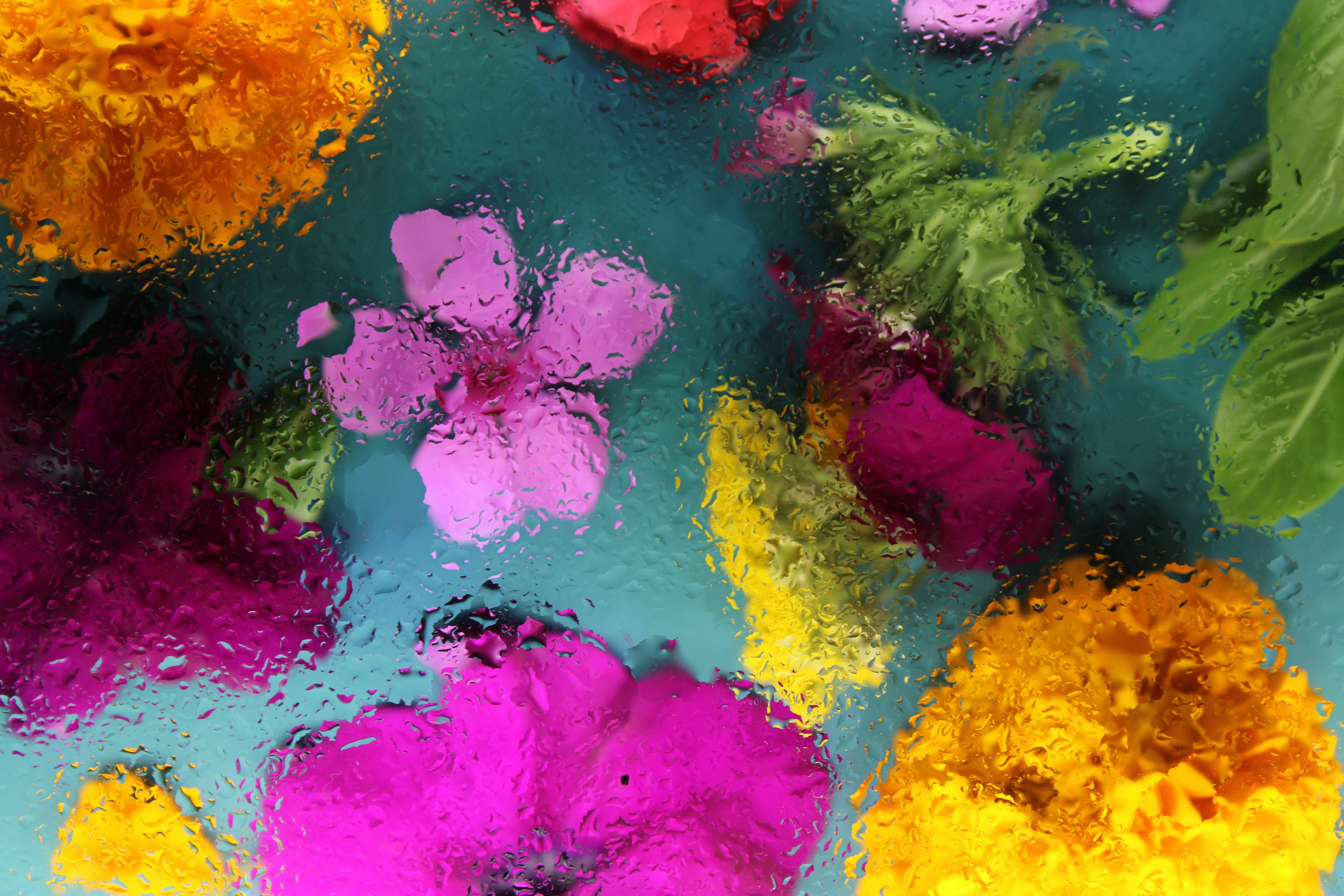 floral wallpaper aesthetic, wallpaper, Flower Crafts for Adults: Creative Projects & Ideas 1