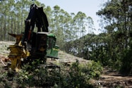a large machine is in the middle of a forest
