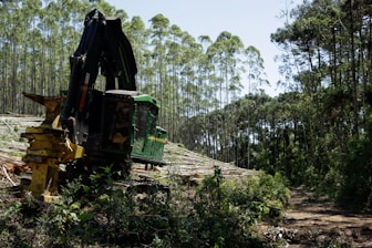 a large machine is in the middle of a forest