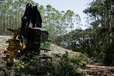 a large machine is in the middle of a forest