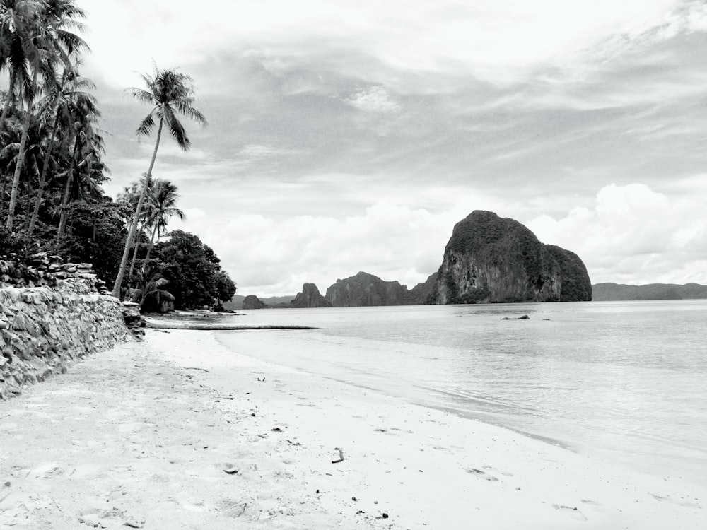 a black and white photo of a beach with palm trees