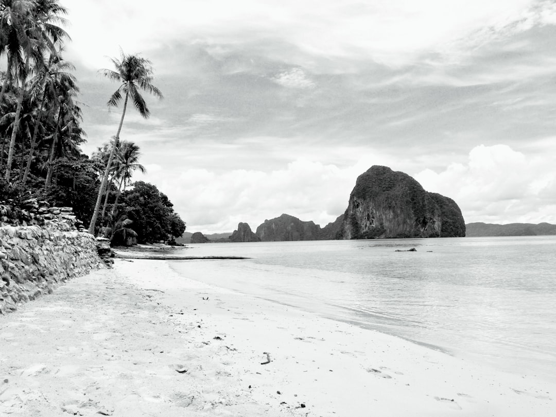 a black and white photo of a beach with palm trees,