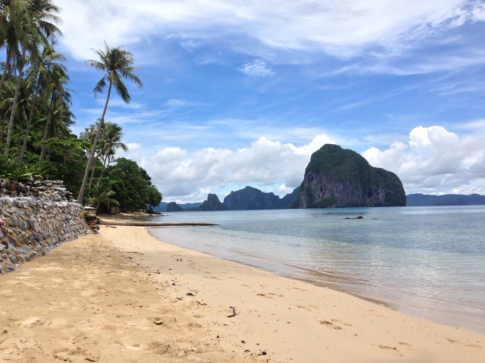 a sandy beach with palm trees and mountains in the background