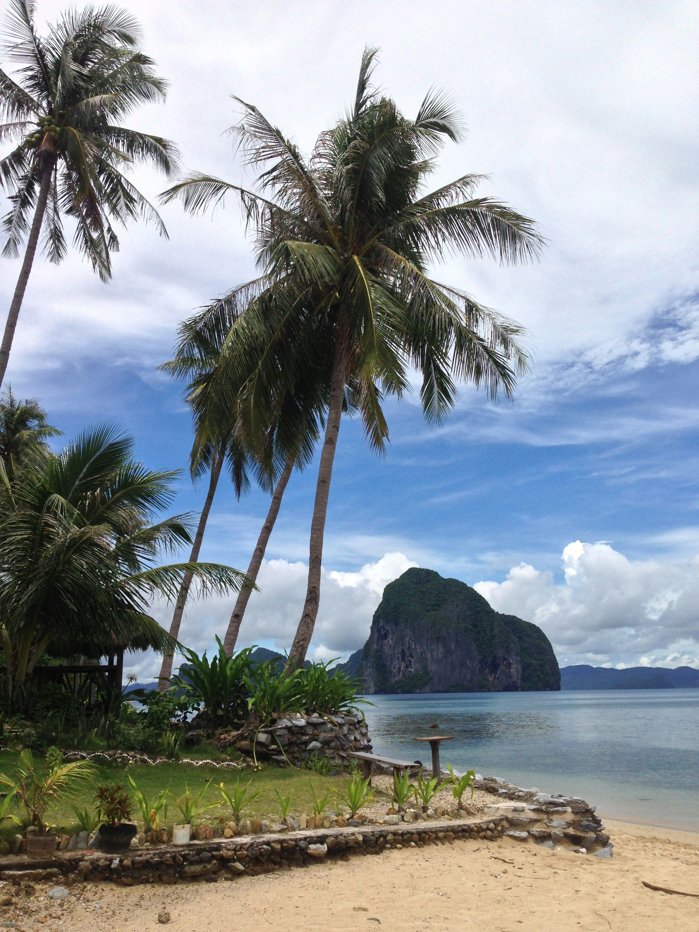 a beach with palm trees and an island in the background