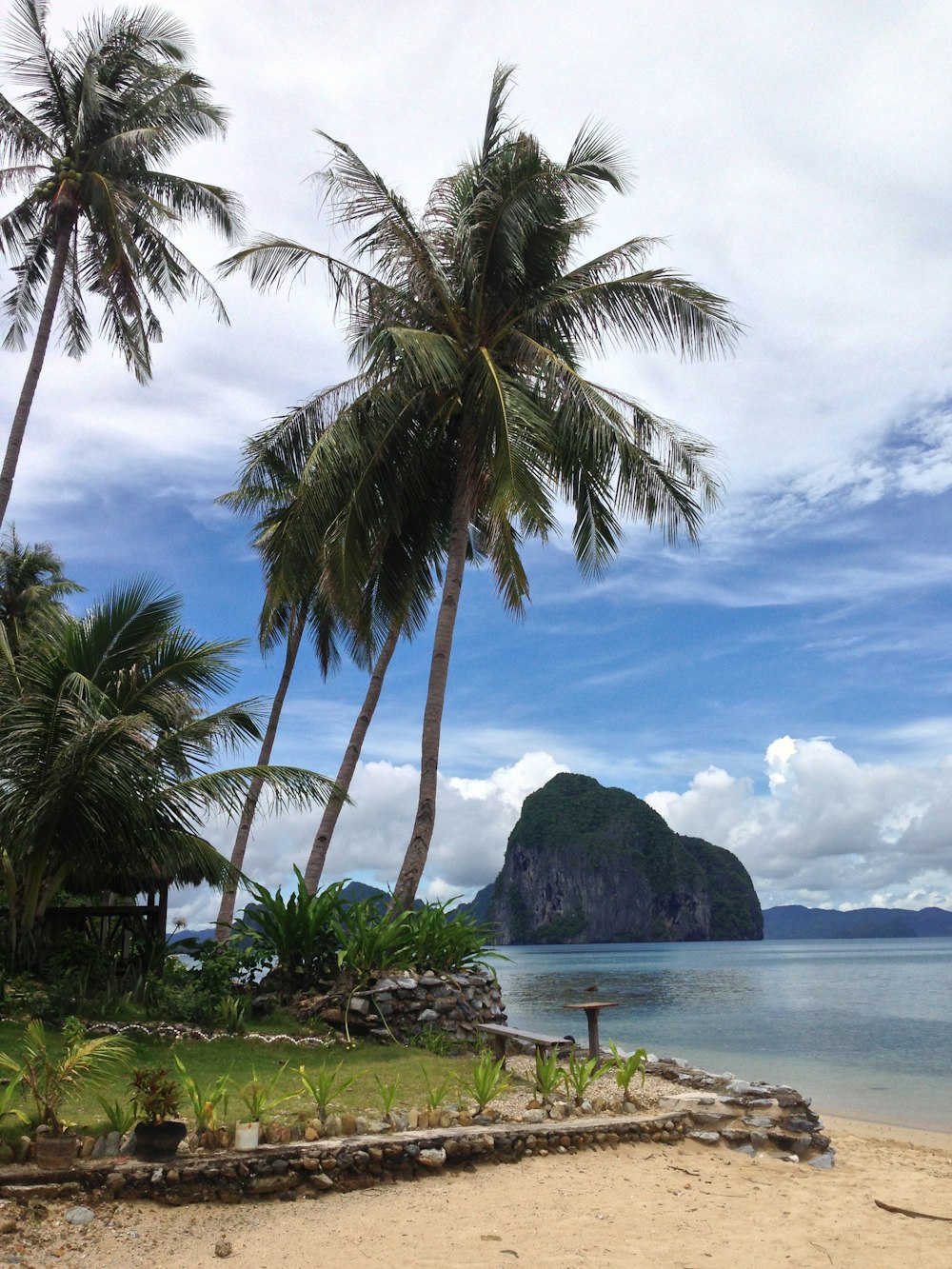 a beach with palm trees and an island in the background